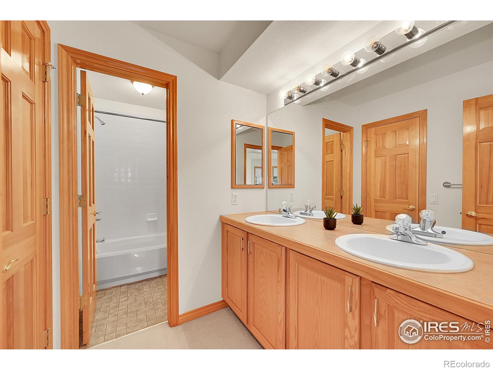 MLS Image #17 for 906  cranberry court,longmont, Colorado