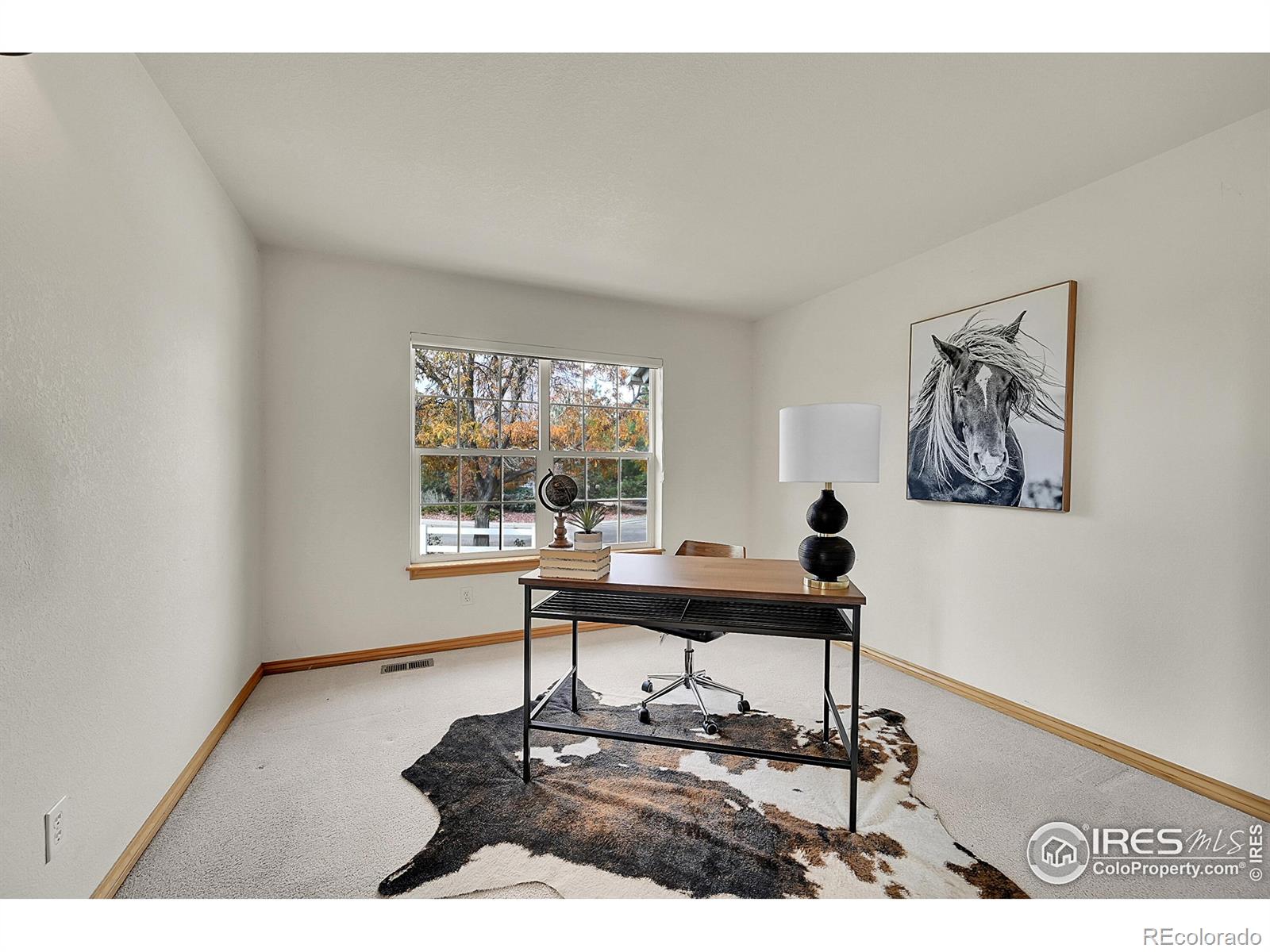 MLS Image #19 for 906  cranberry court,longmont, Colorado