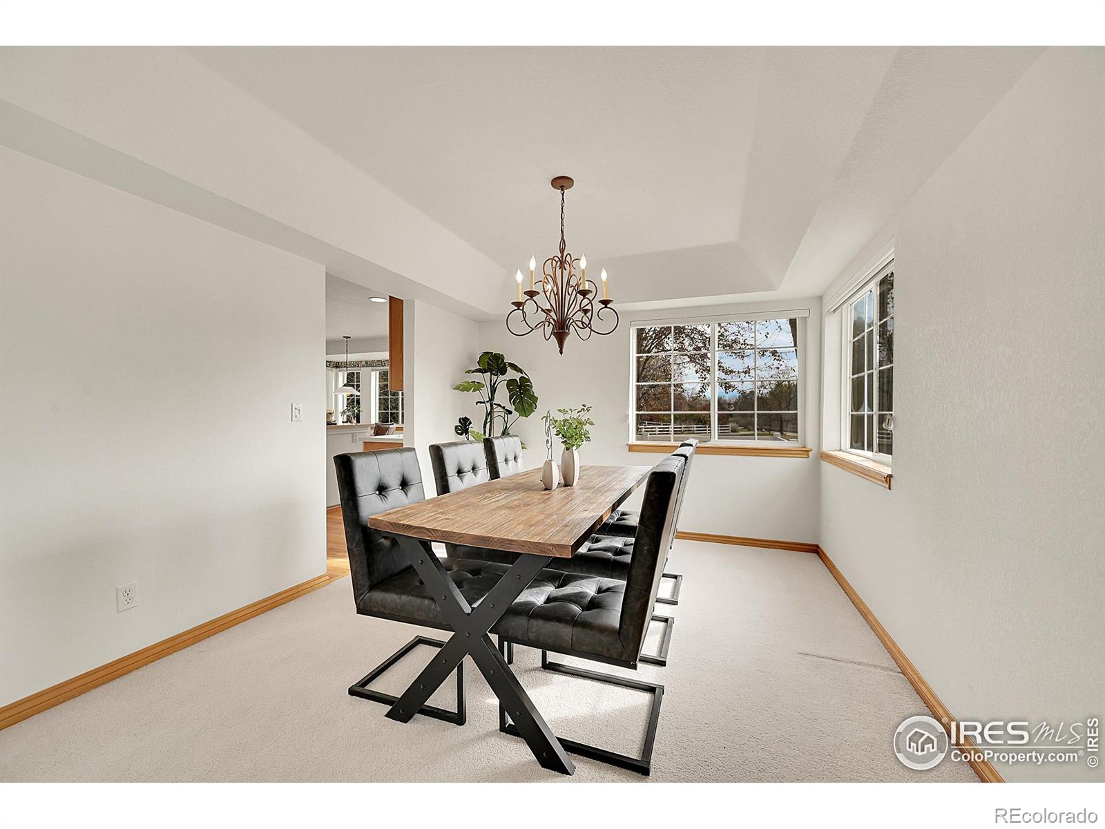 MLS Image #3 for 906  cranberry court,longmont, Colorado