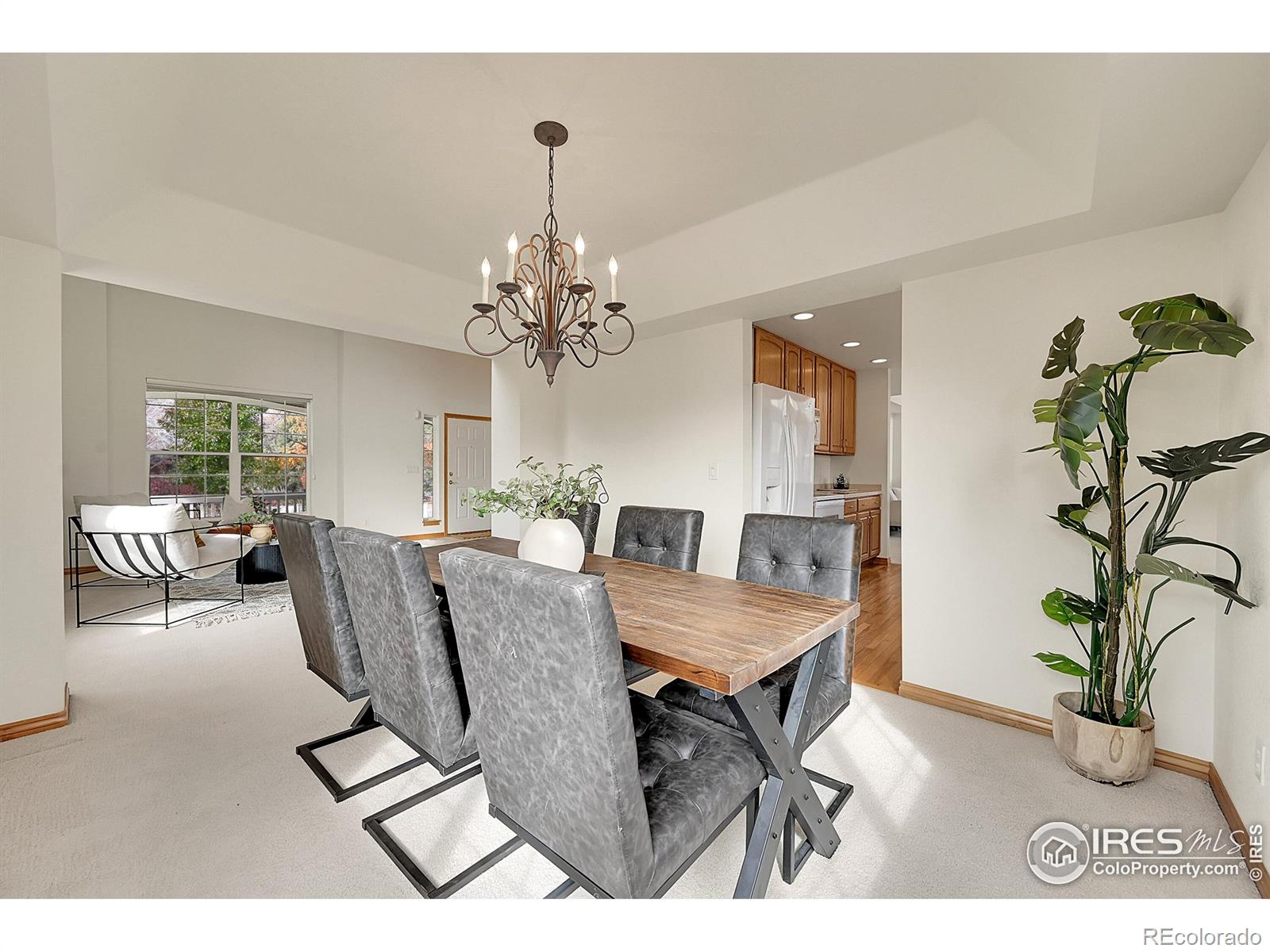 MLS Image #4 for 906  cranberry court,longmont, Colorado