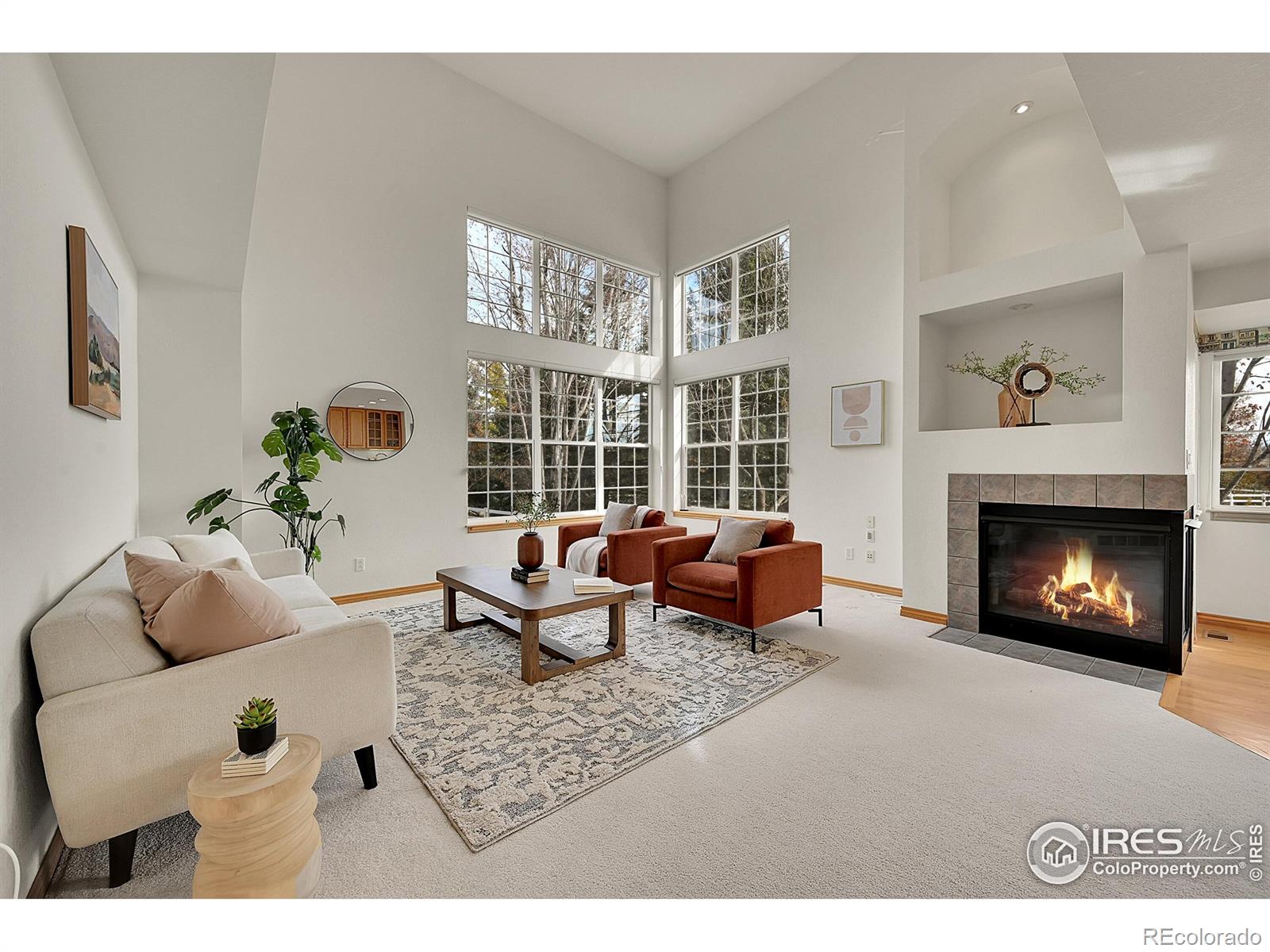 MLS Image #9 for 906  cranberry court,longmont, Colorado
