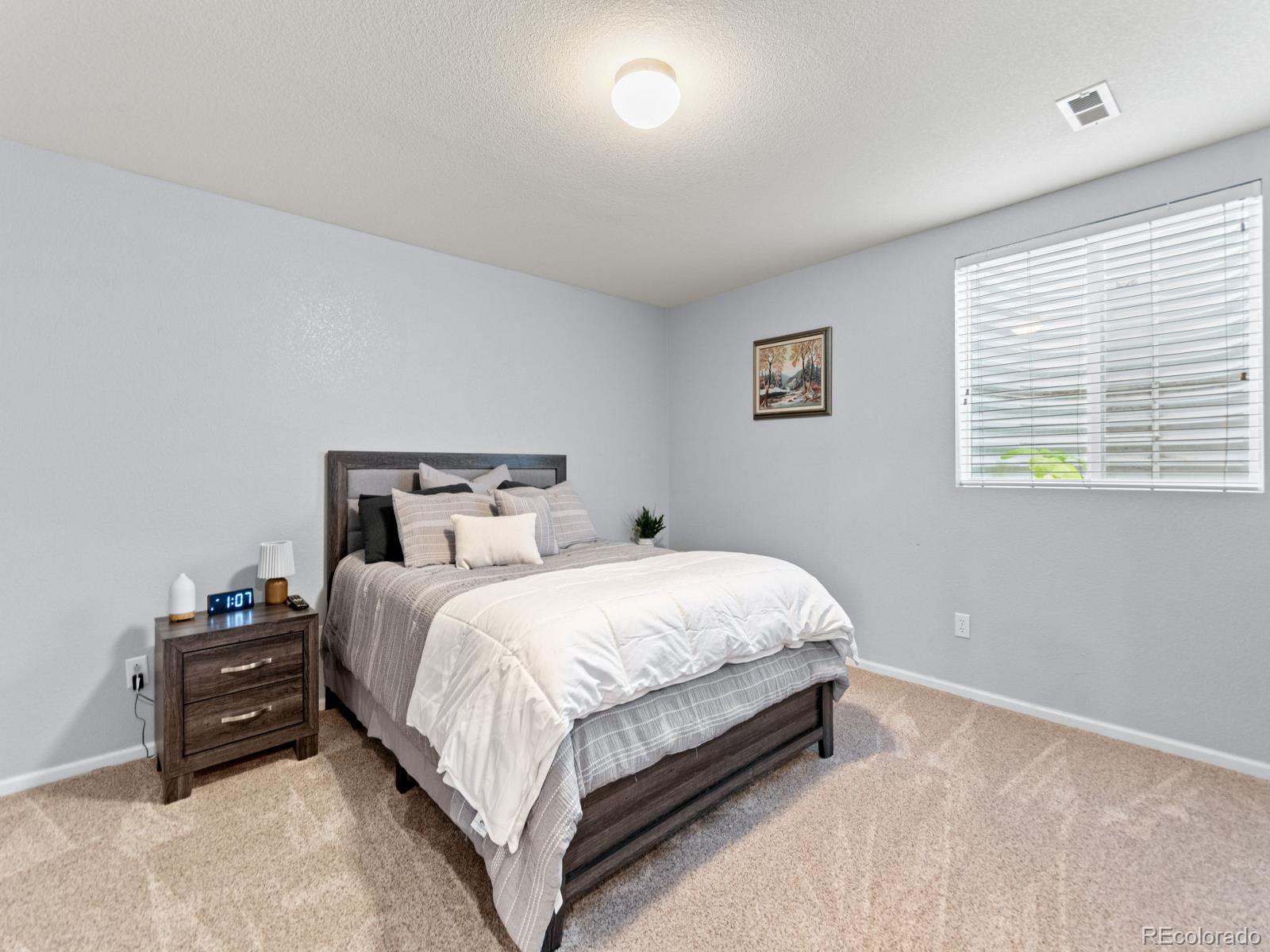 MLS Image #28 for 2844 s jebel way,aurora, Colorado