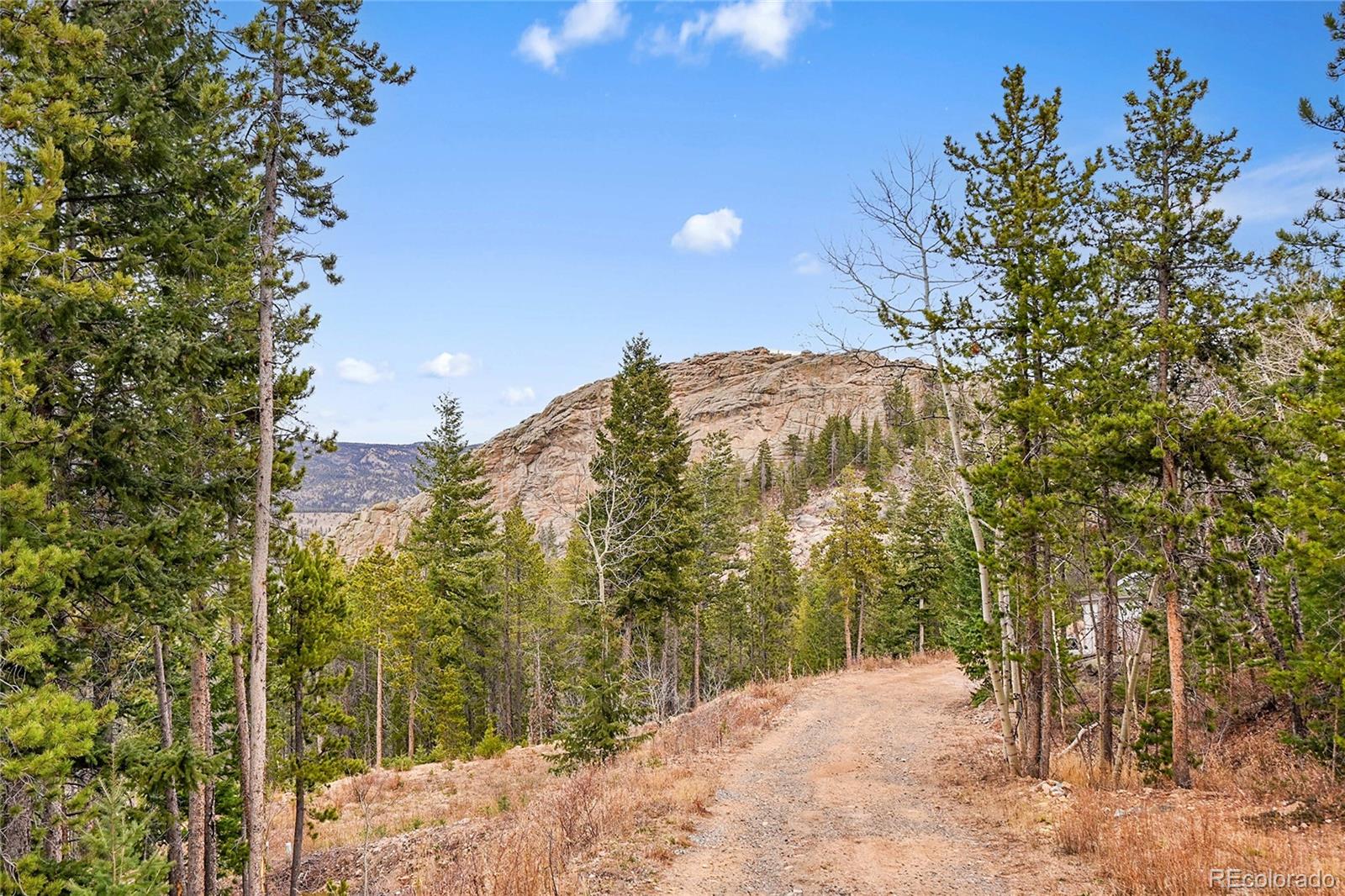 MLS Image #11 for 206  wonder trail,golden, Colorado