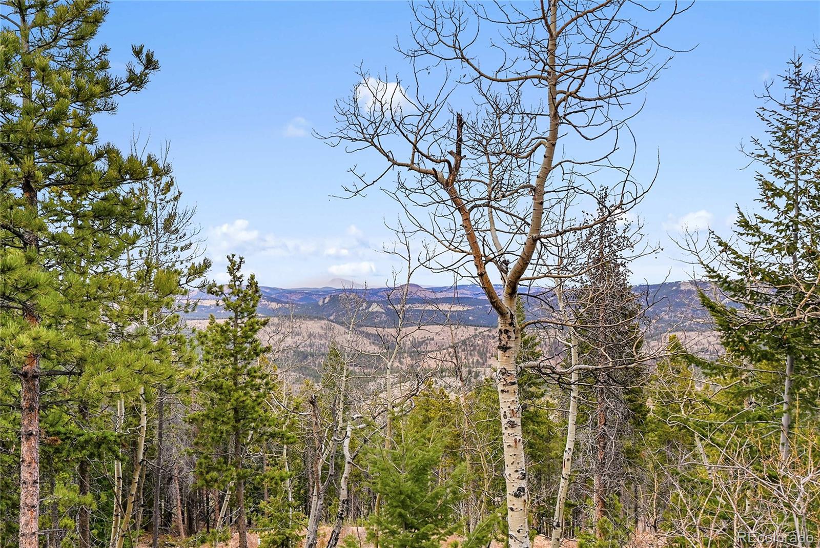 MLS Image #2 for 206  wonder trail,golden, Colorado
