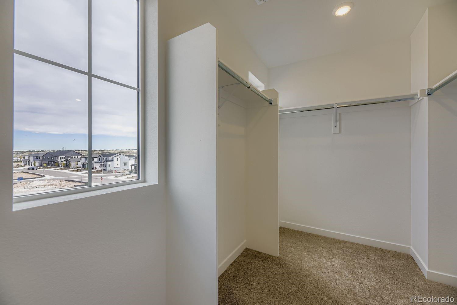 MLS Image #6 for 7456  whiteclover trail,littleton, Colorado