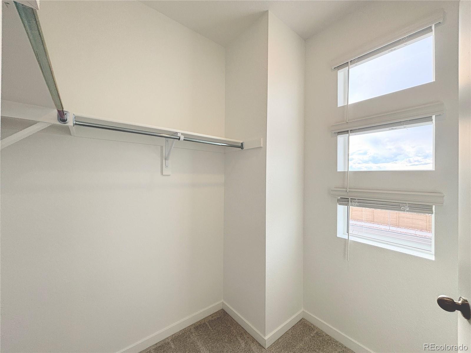 MLS Image #9 for 7646 s cherokee trail ,centennial, Colorado
