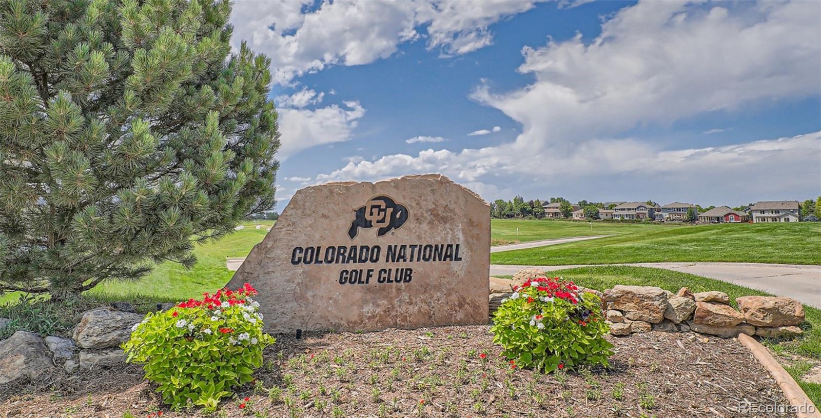 MLS Image #13 for 1059  morning side drive,erie, Colorado