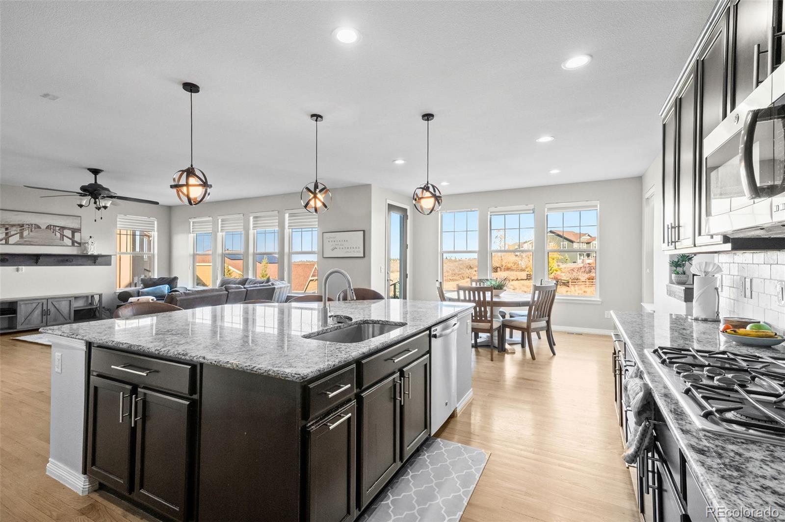 MLS Image #12 for 2910  el nido way,castle rock, Colorado