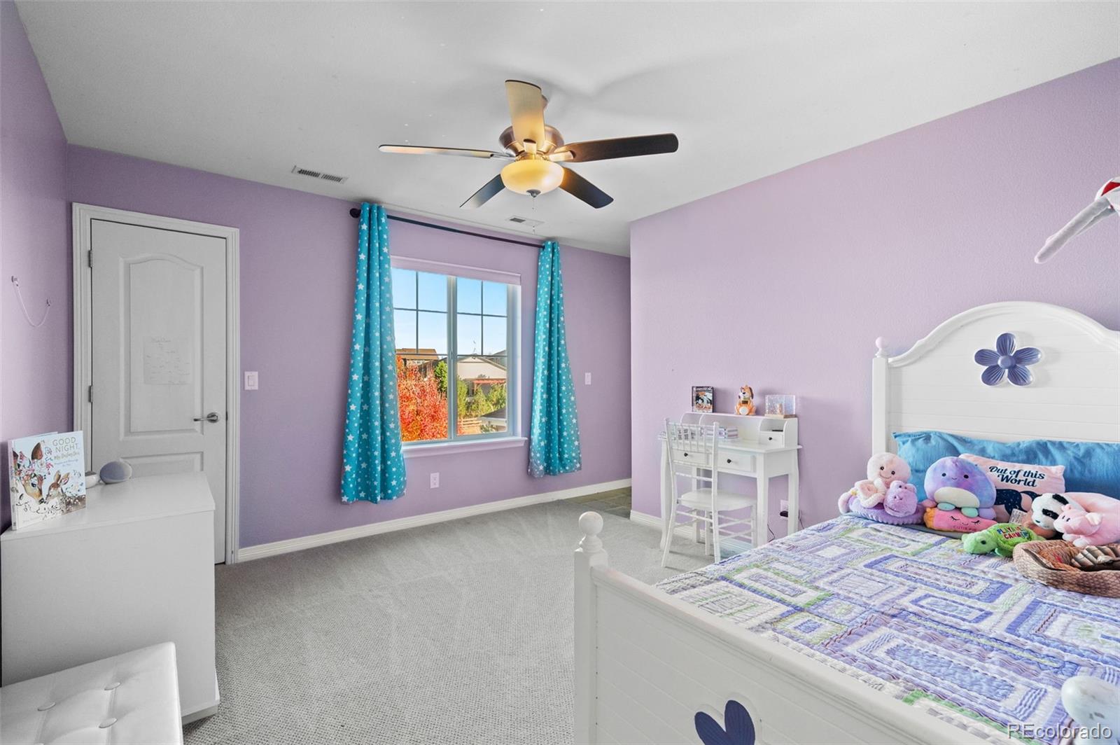 MLS Image #25 for 2910  el nido way,castle rock, Colorado
