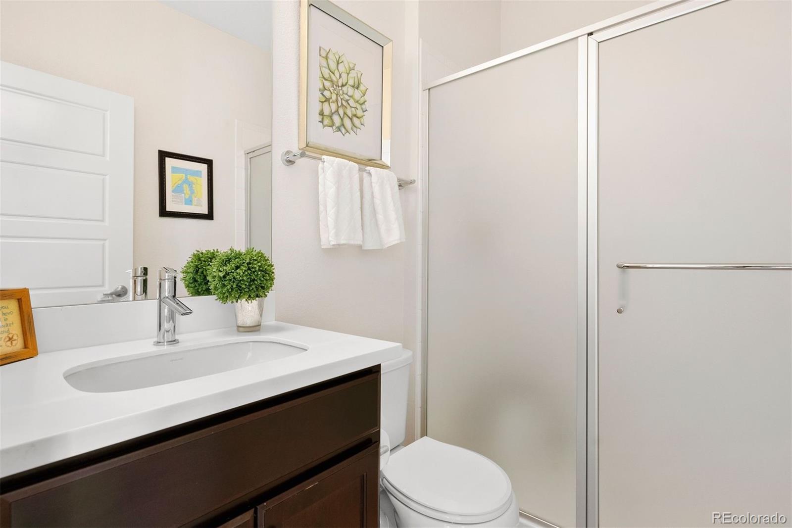 MLS Image #18 for 14068  touchstone street,parker, Colorado