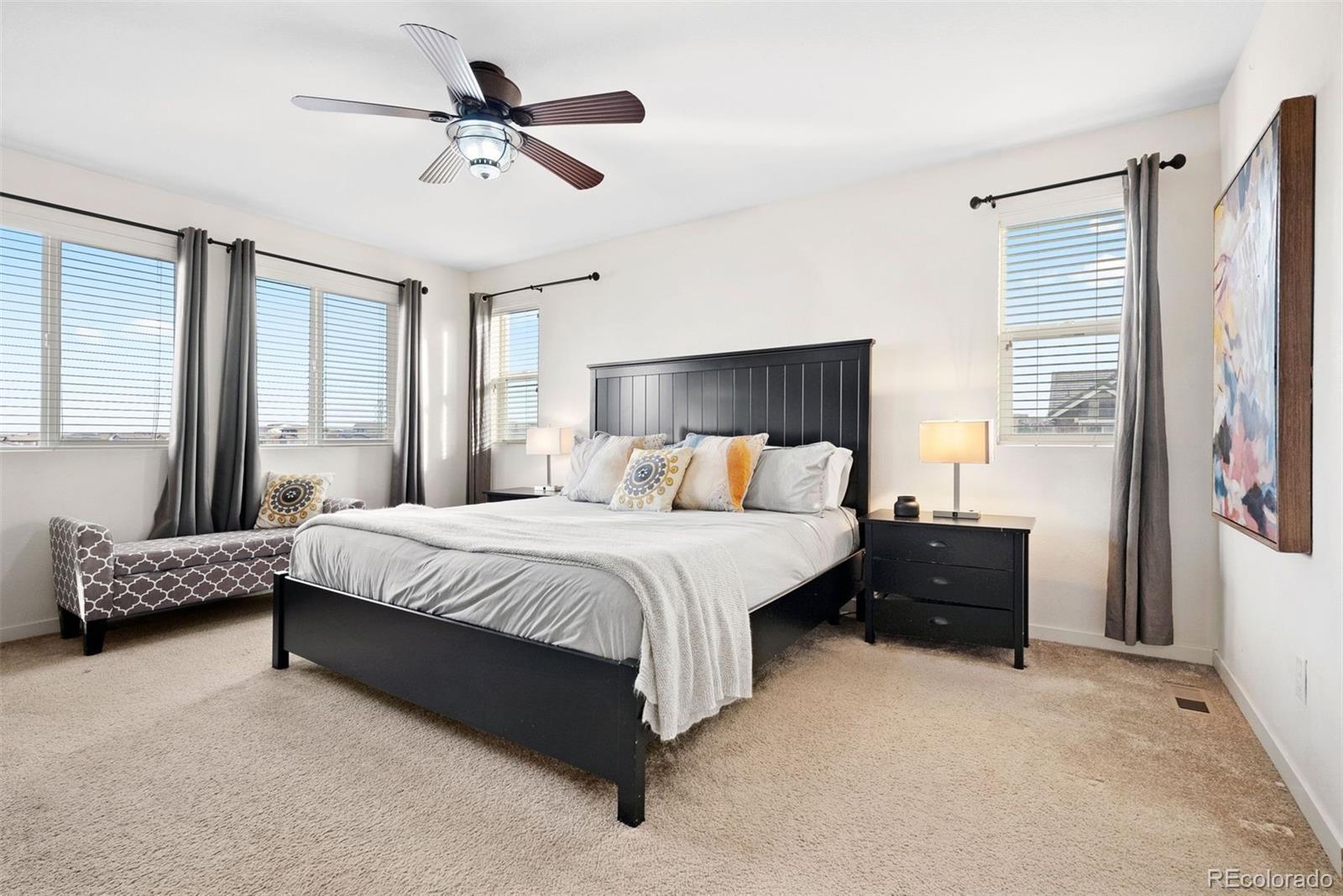 MLS Image #20 for 14068  touchstone street,parker, Colorado