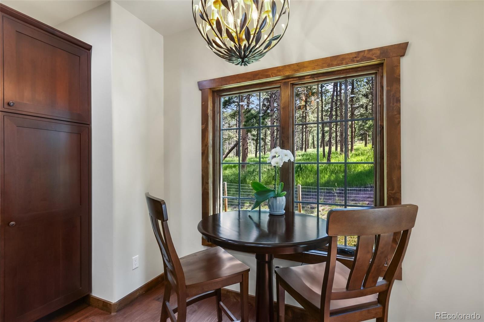 MLS Image #19 for 1141  royal oak court,woodland park, Colorado