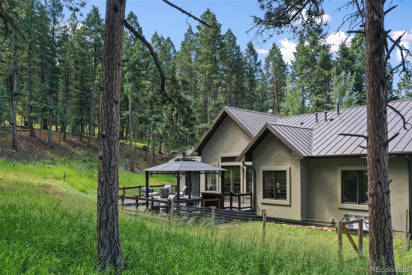 MLS Image #6 for 1141  royal oak court,woodland park, Colorado