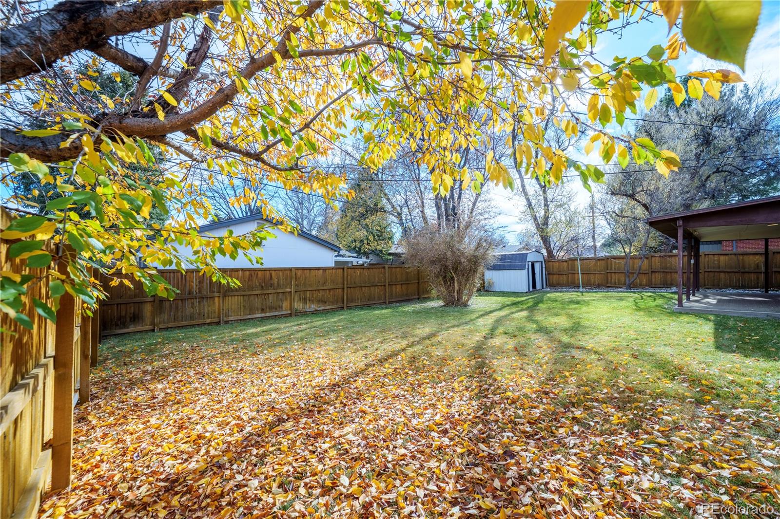 MLS Image #33 for 1606 s fairfax street,denver, Colorado