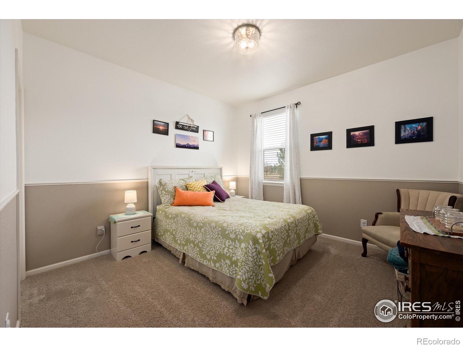 MLS Image #10 for 869  charlton drive,windsor, Colorado