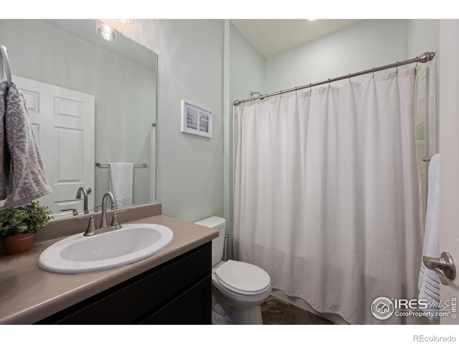 MLS Image #11 for 869  charlton drive,windsor, Colorado