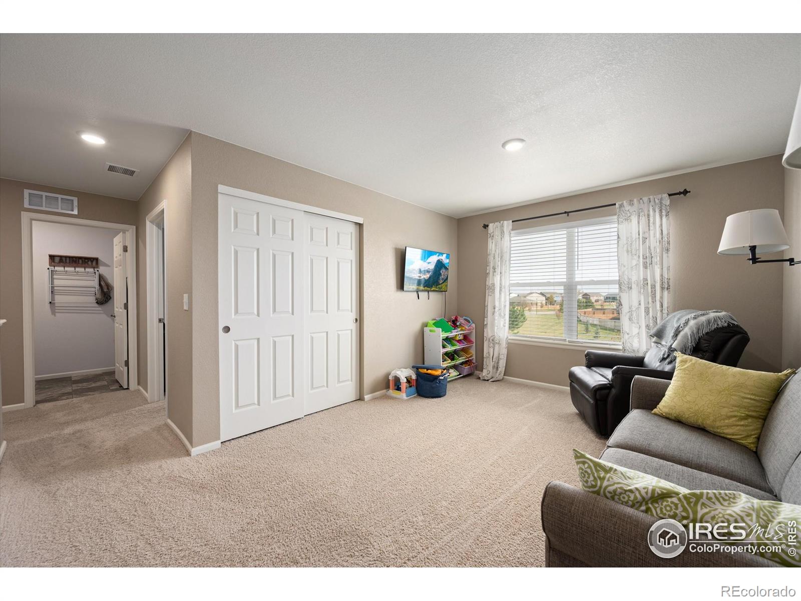MLS Image #13 for 869  charlton drive,windsor, Colorado