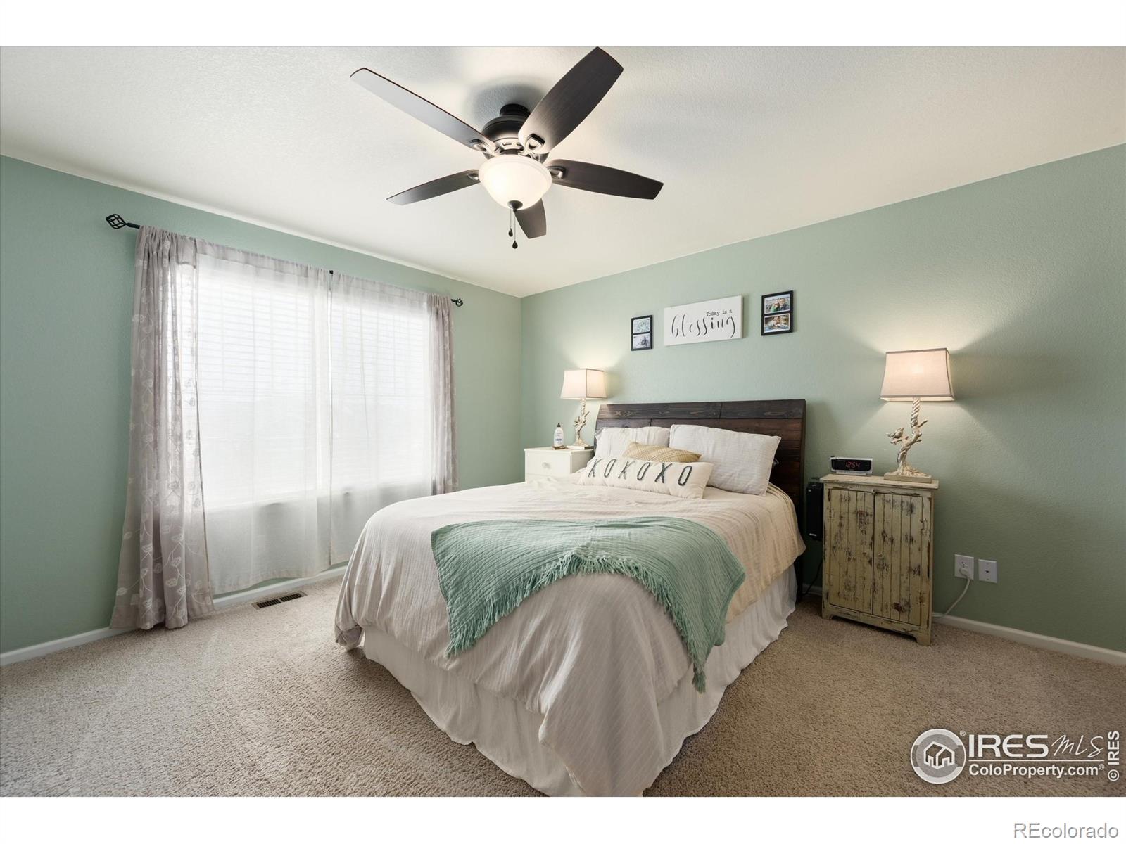 MLS Image #14 for 869  charlton drive,windsor, Colorado