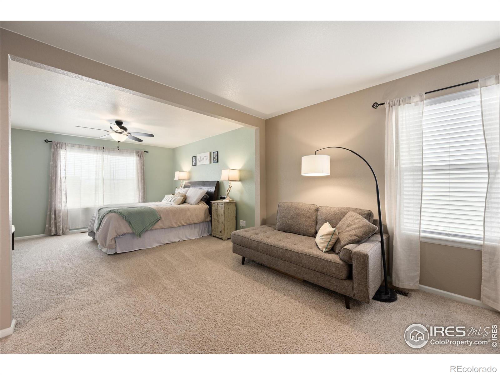 MLS Image #15 for 869  charlton drive,windsor, Colorado