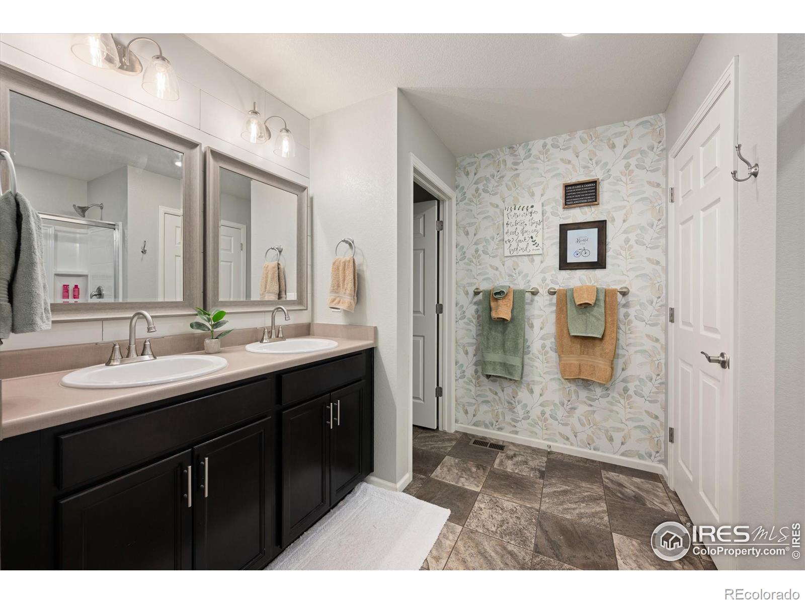 MLS Image #17 for 869  charlton drive,windsor, Colorado