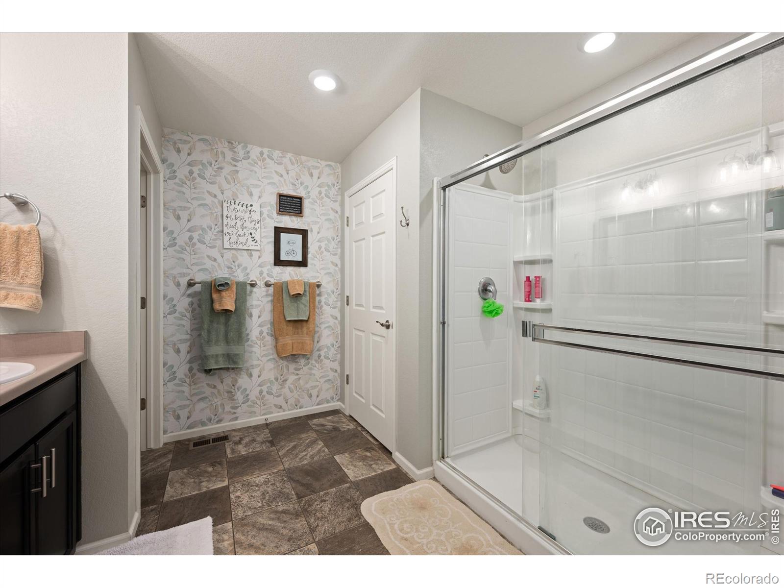 MLS Image #18 for 869  charlton drive,windsor, Colorado