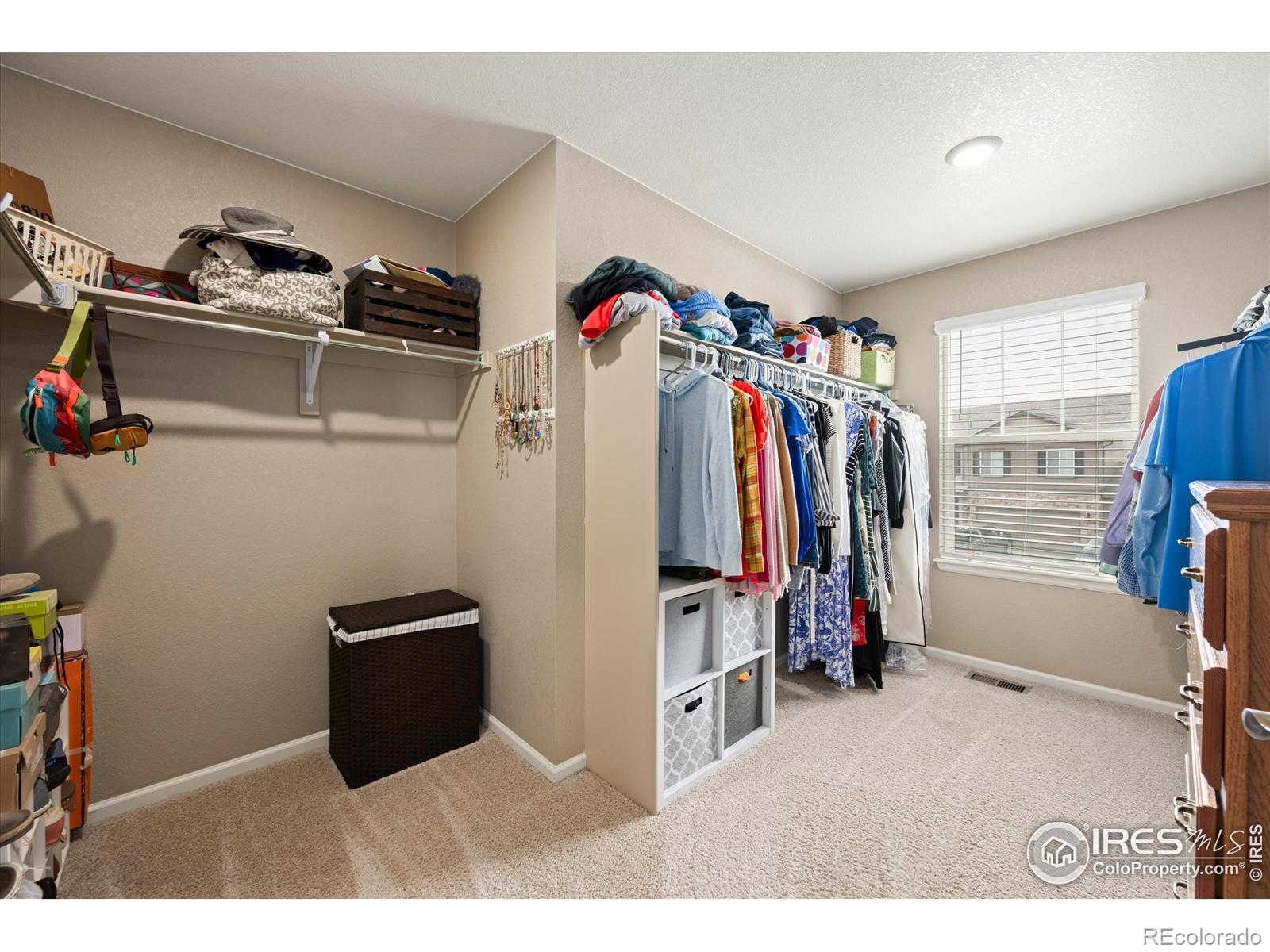 MLS Image #19 for 869  charlton drive,windsor, Colorado