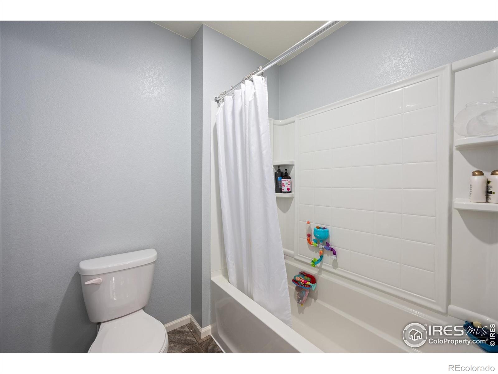 MLS Image #21 for 869  charlton drive,windsor, Colorado