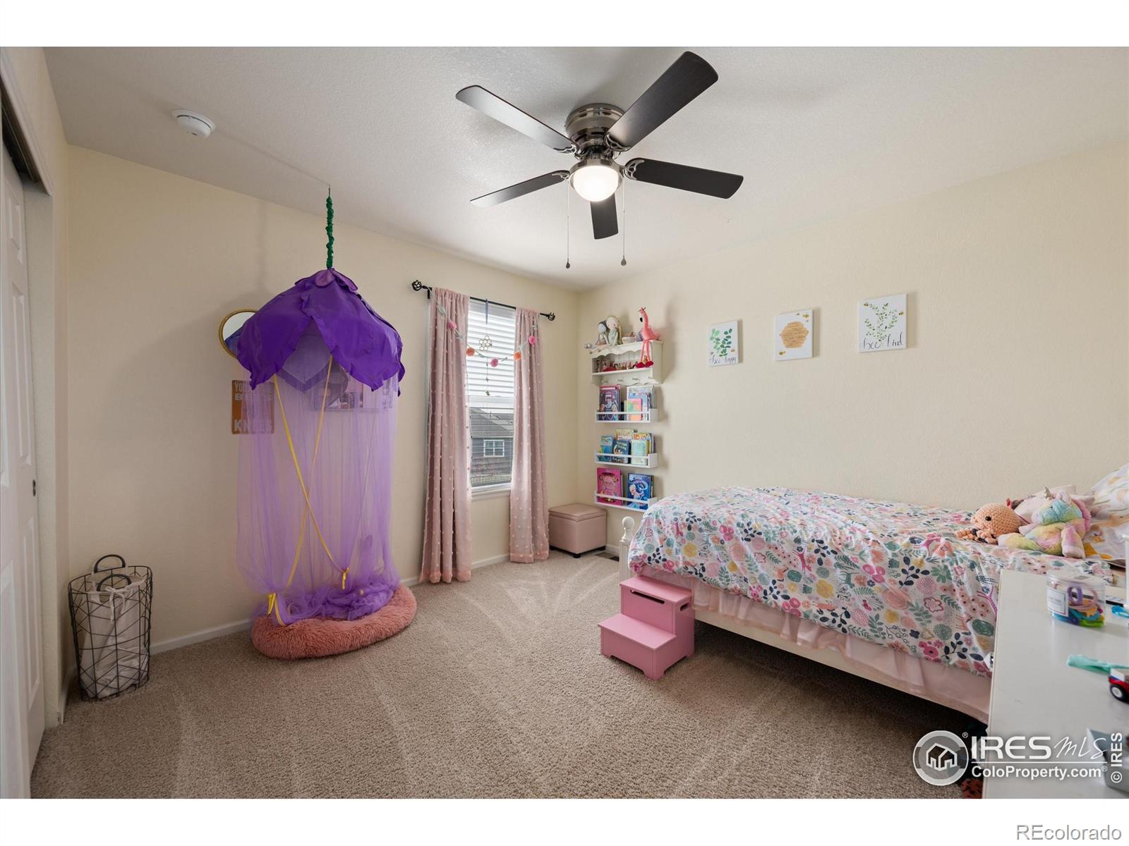 MLS Image #22 for 869  charlton drive,windsor, Colorado