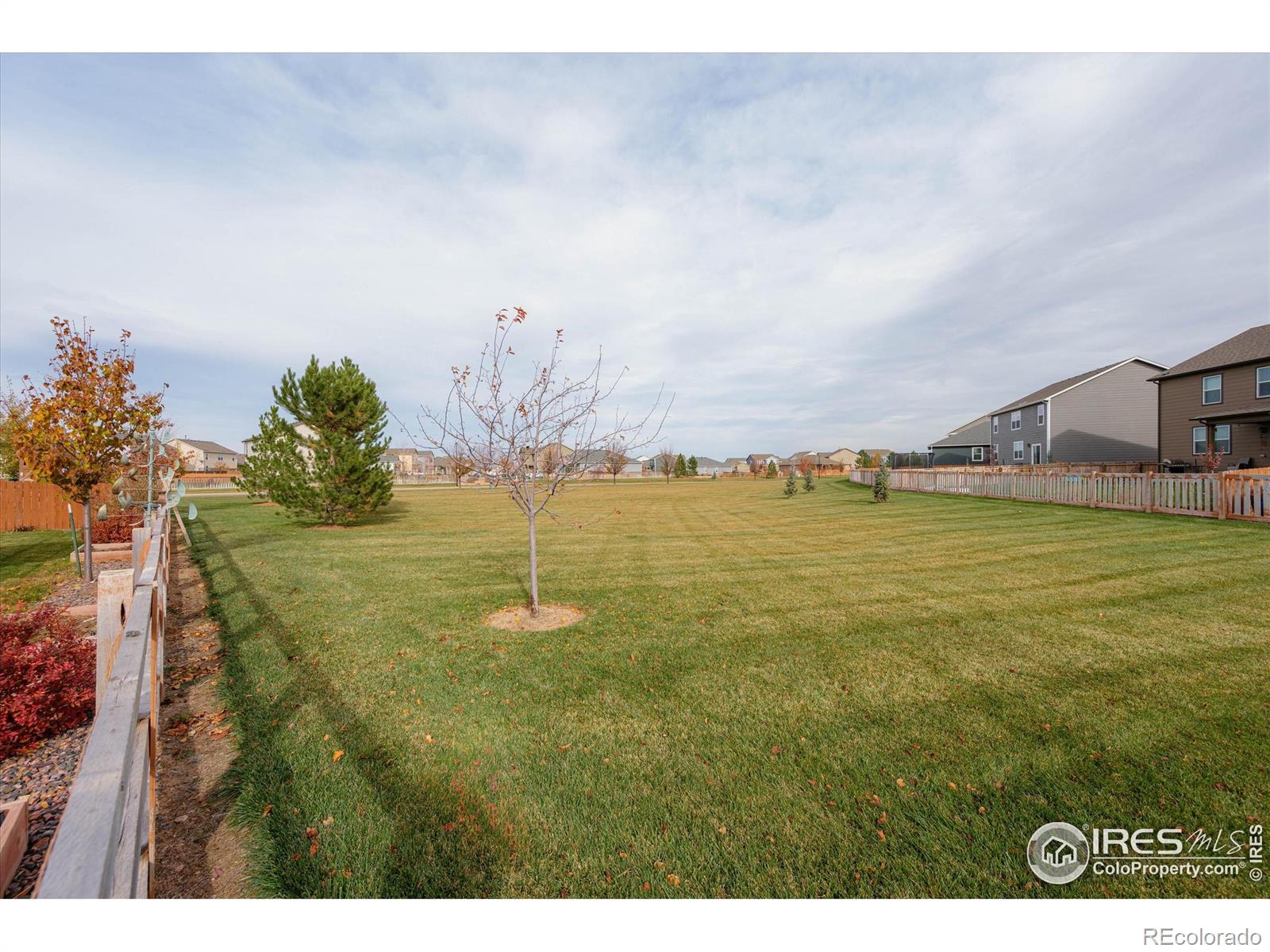 MLS Image #29 for 869  charlton drive,windsor, Colorado