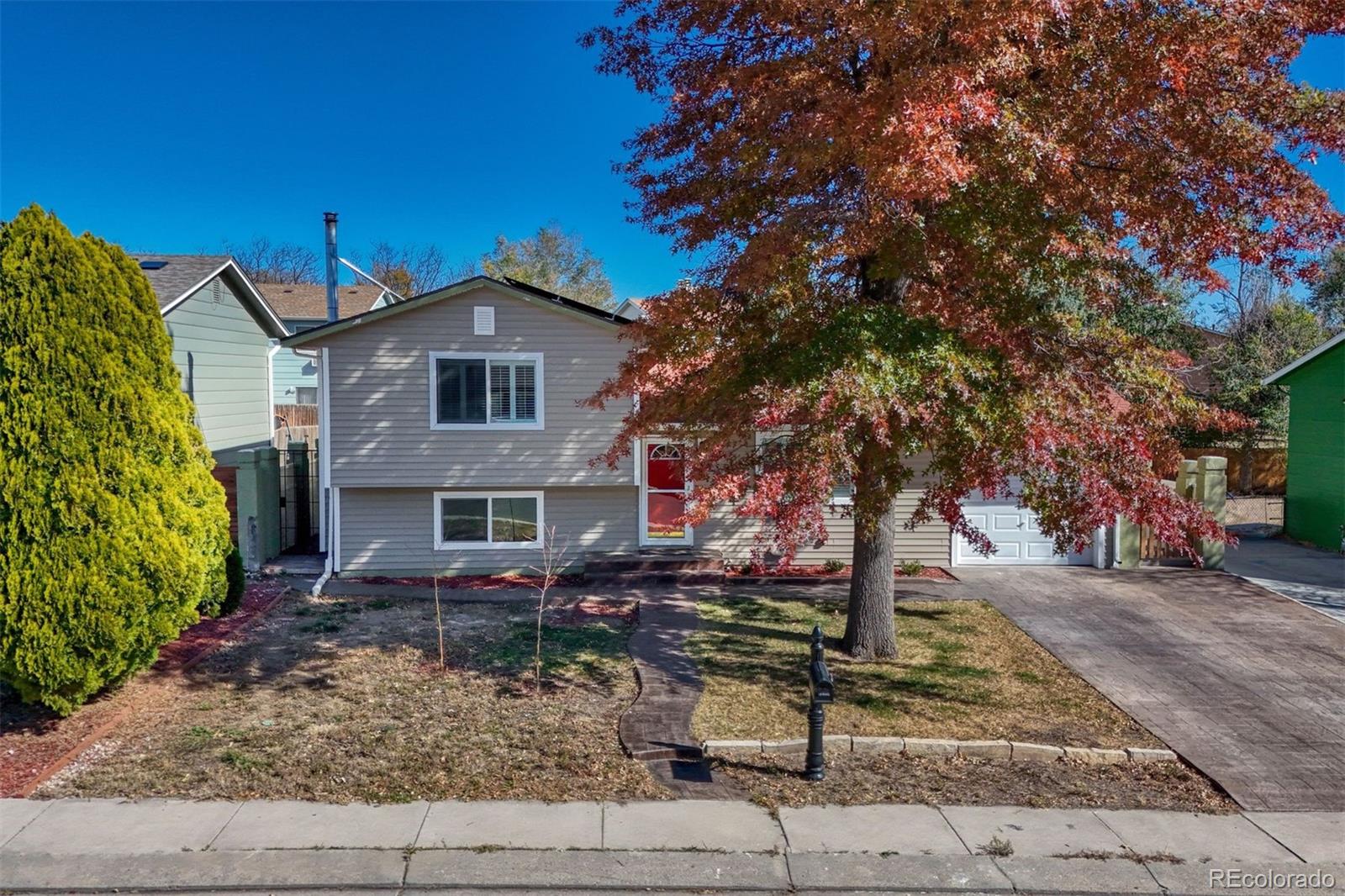 MLS Image #7 for 2575  nadine drive,colorado springs, Colorado