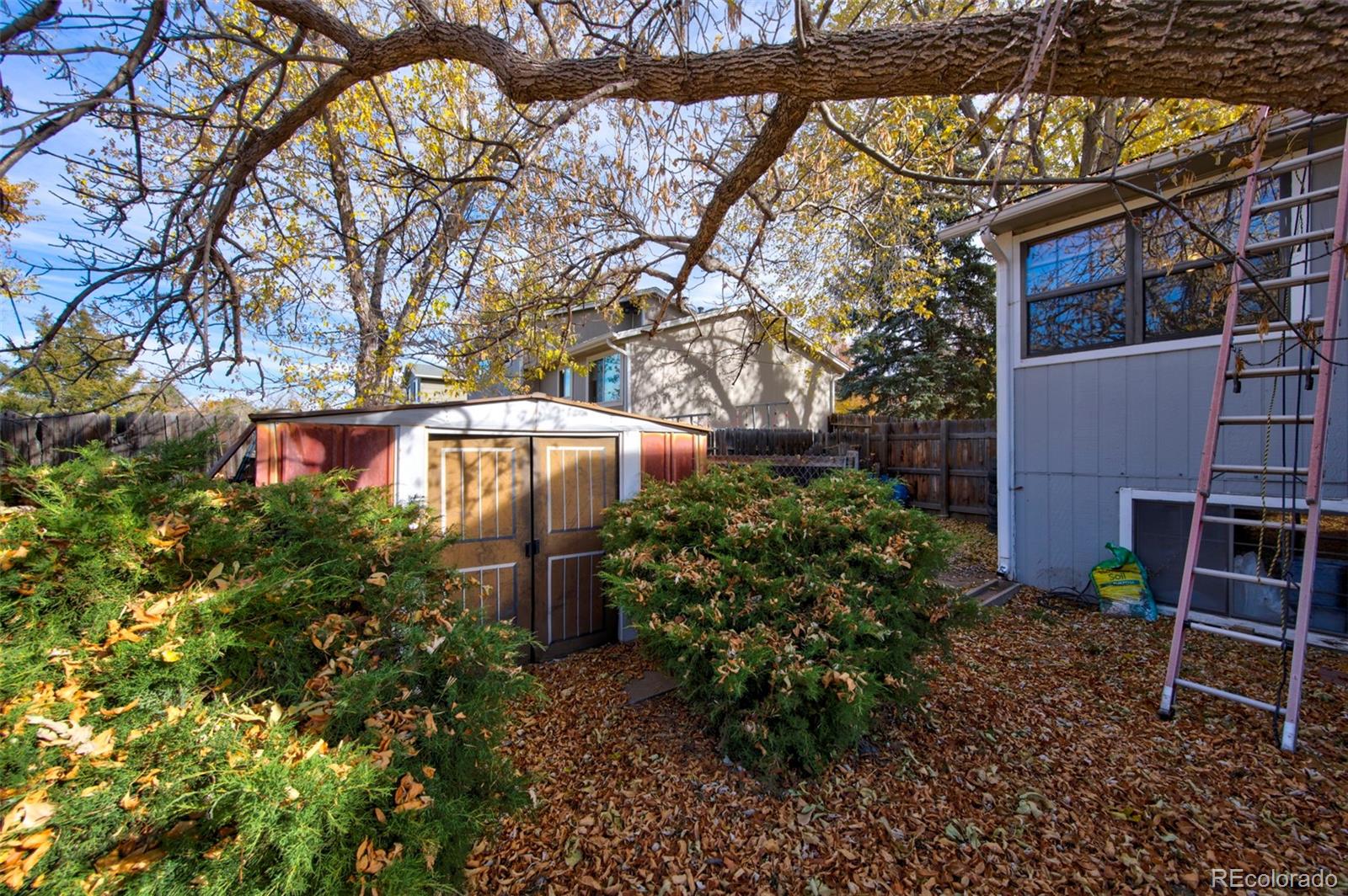 MLS Image #39 for 7447  newland street,arvada, Colorado