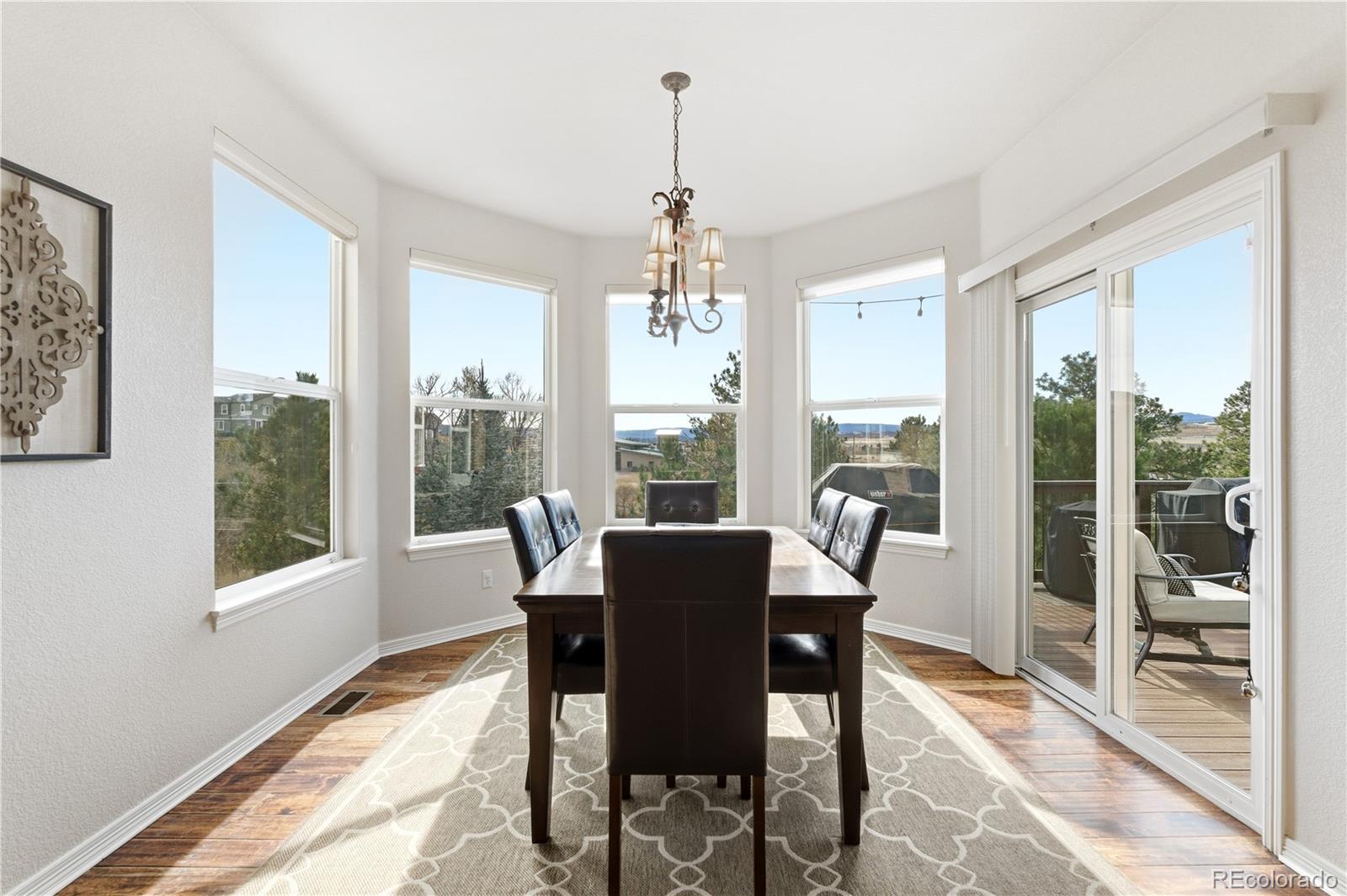 MLS Image #16 for 356  crosshaven place,castle rock, Colorado
