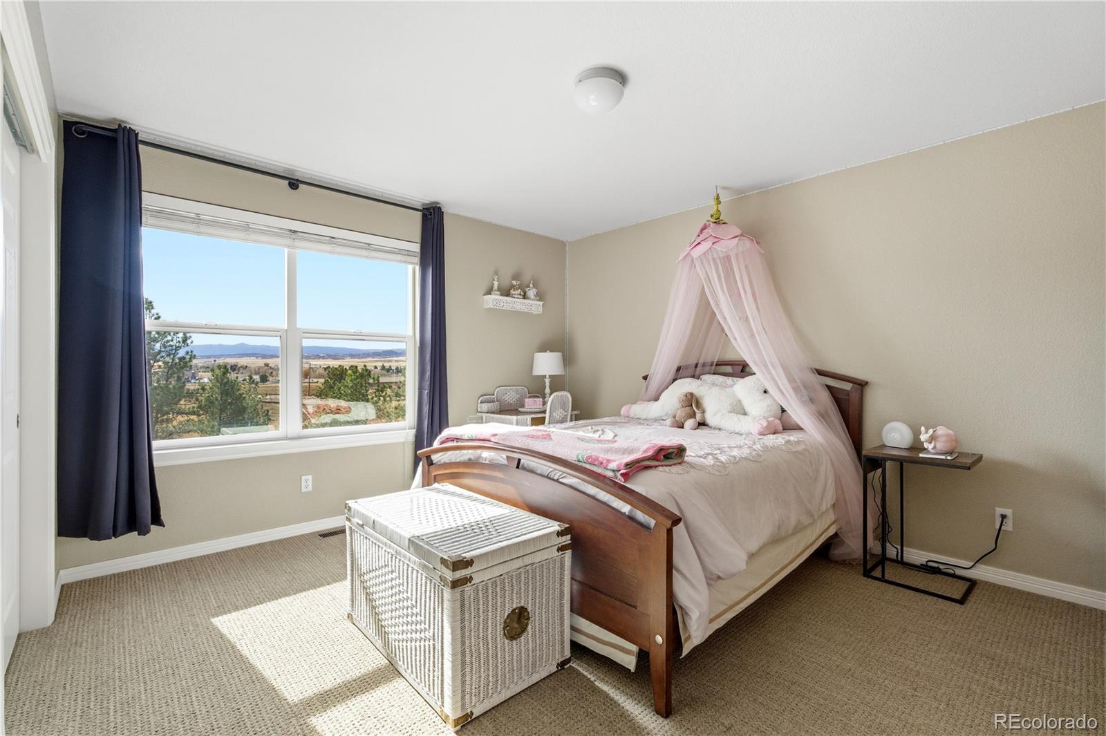 MLS Image #25 for 356  crosshaven place,castle rock, Colorado