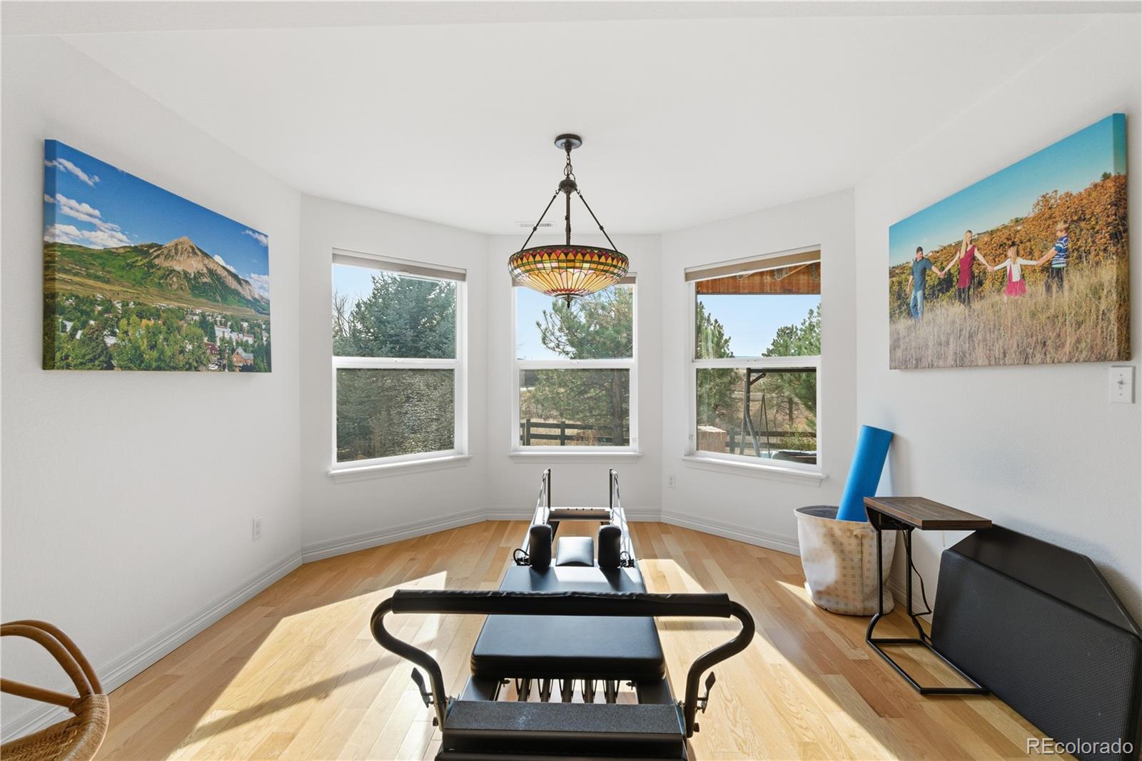 MLS Image #34 for 356  crosshaven place,castle rock, Colorado