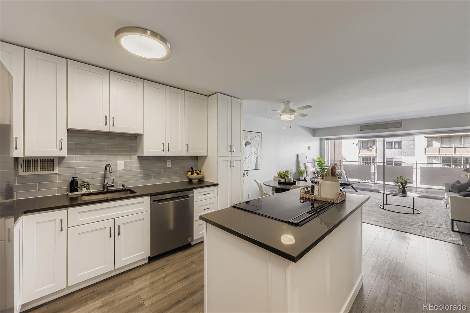 MLS Image #5 for 1121  albion street,denver, Colorado