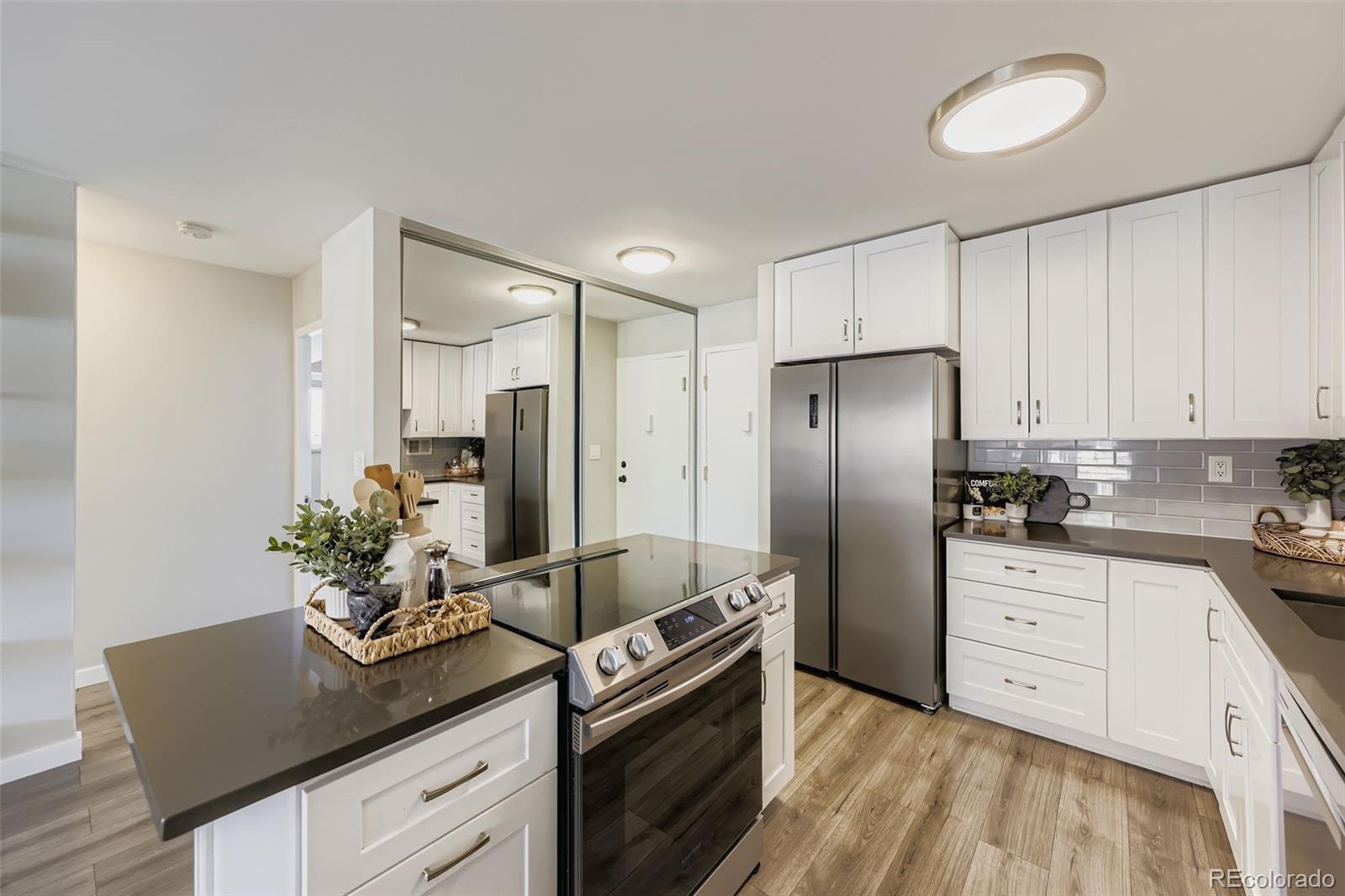 MLS Image #6 for 1121  albion street,denver, Colorado