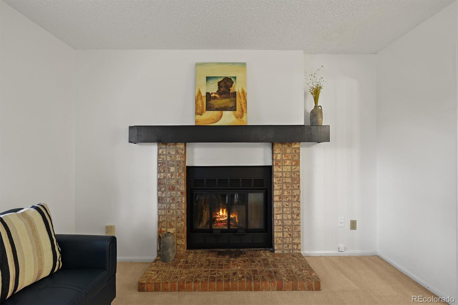 MLS Image #13 for 6537  coors street,arvada, Colorado