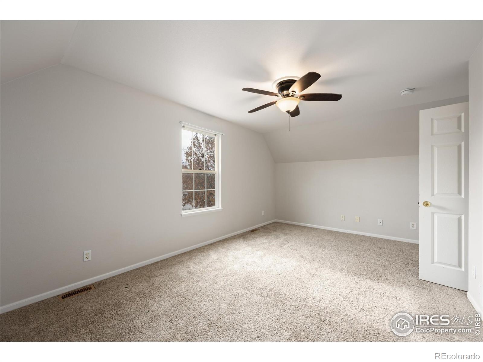 MLS Image #22 for 1215  fairfield avenue,windsor, Colorado