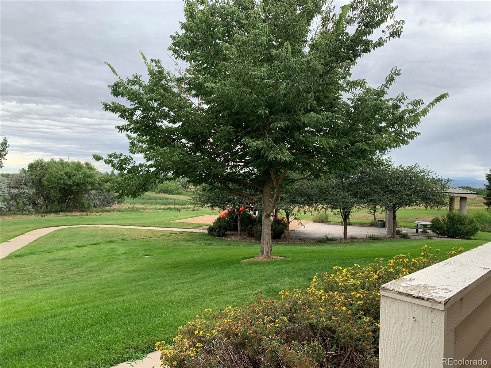 MLS Image #27 for 1601  great western drive,longmont, Colorado