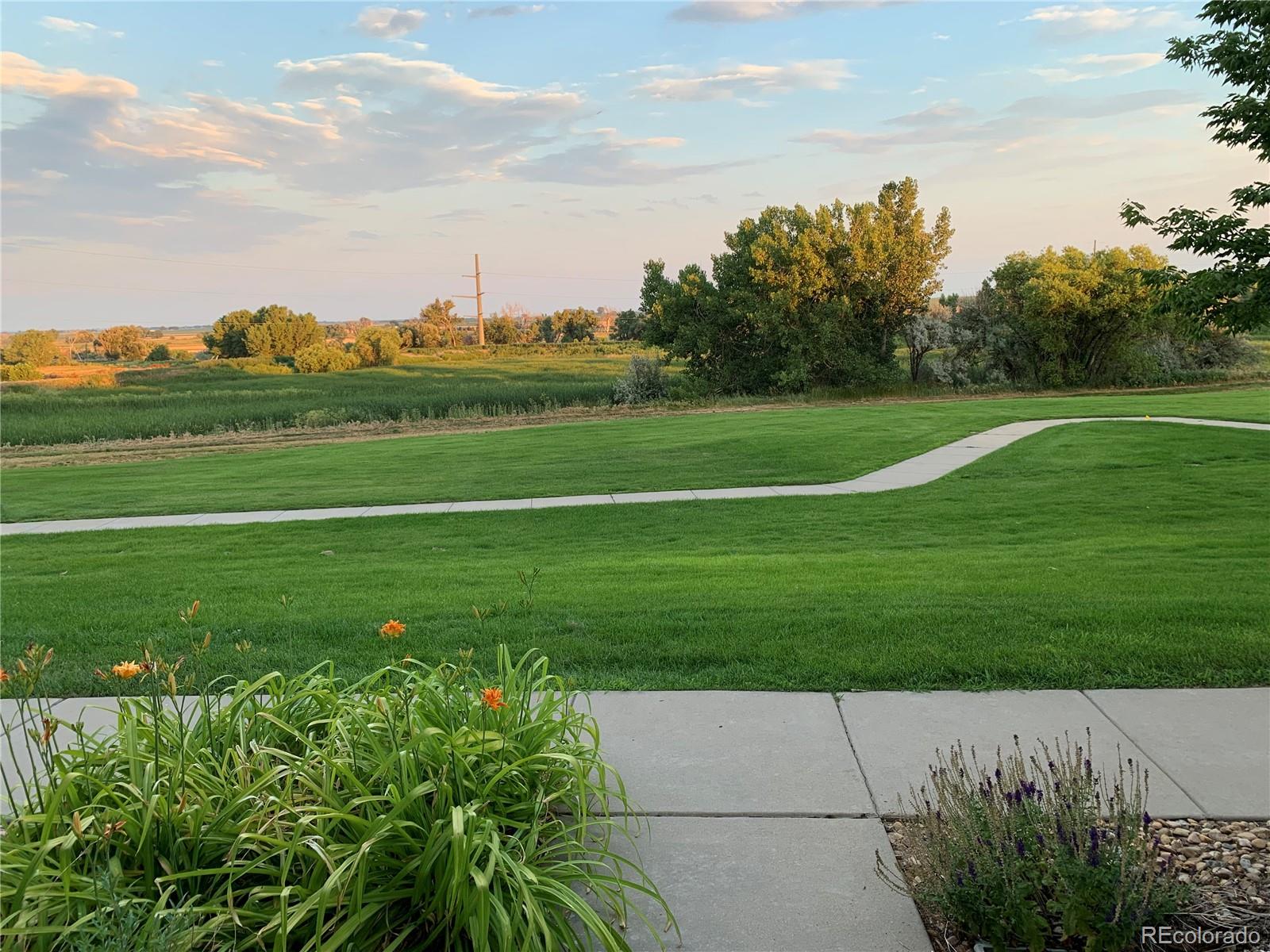 MLS Image #3 for 1601  great western drive,longmont, Colorado