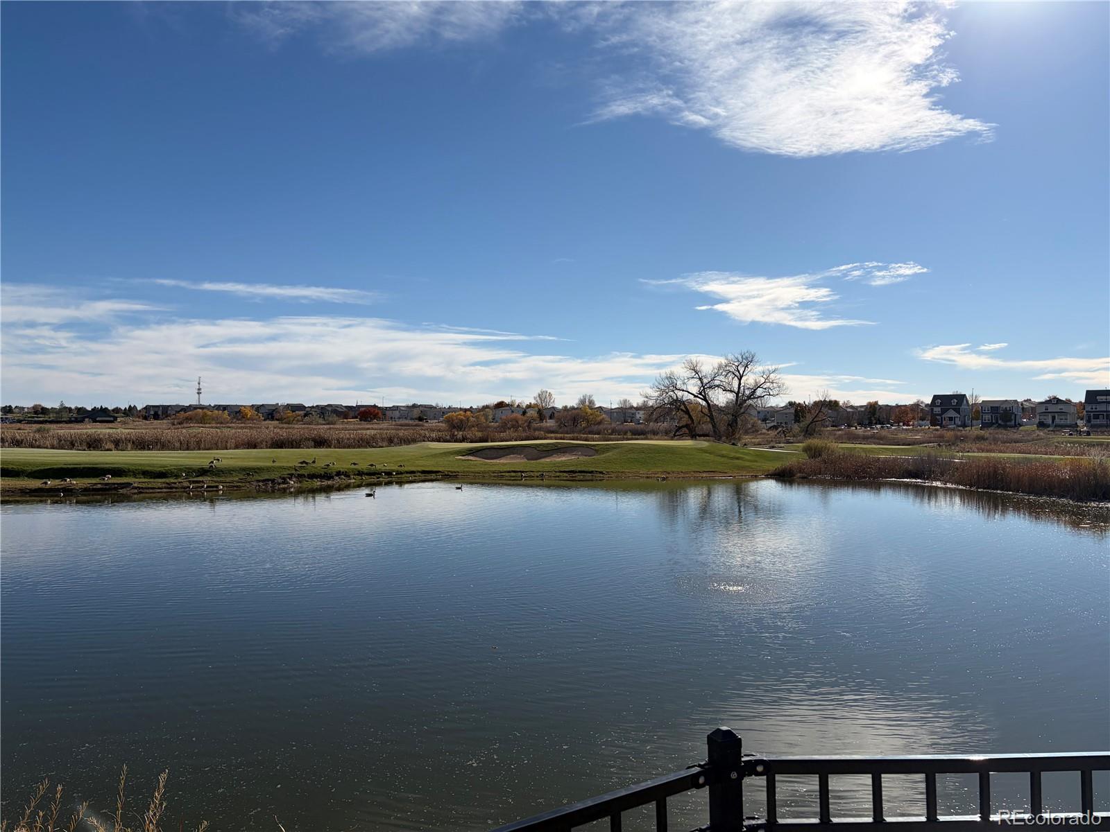 MLS Image #37 for 19601 e 53rd avenue,denver, Colorado