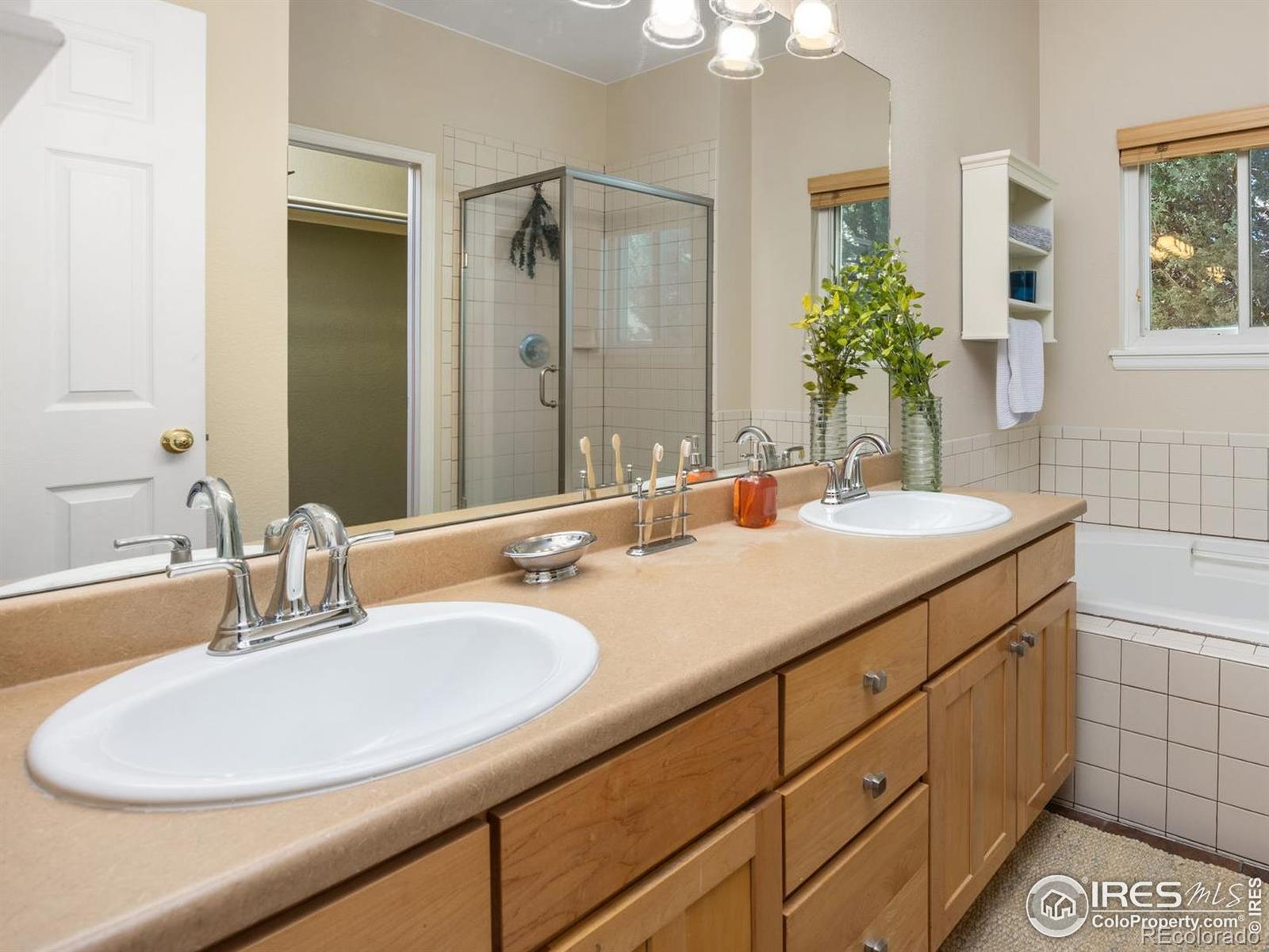 MLS Image #10 for 225  sugarbin court,longmont, Colorado