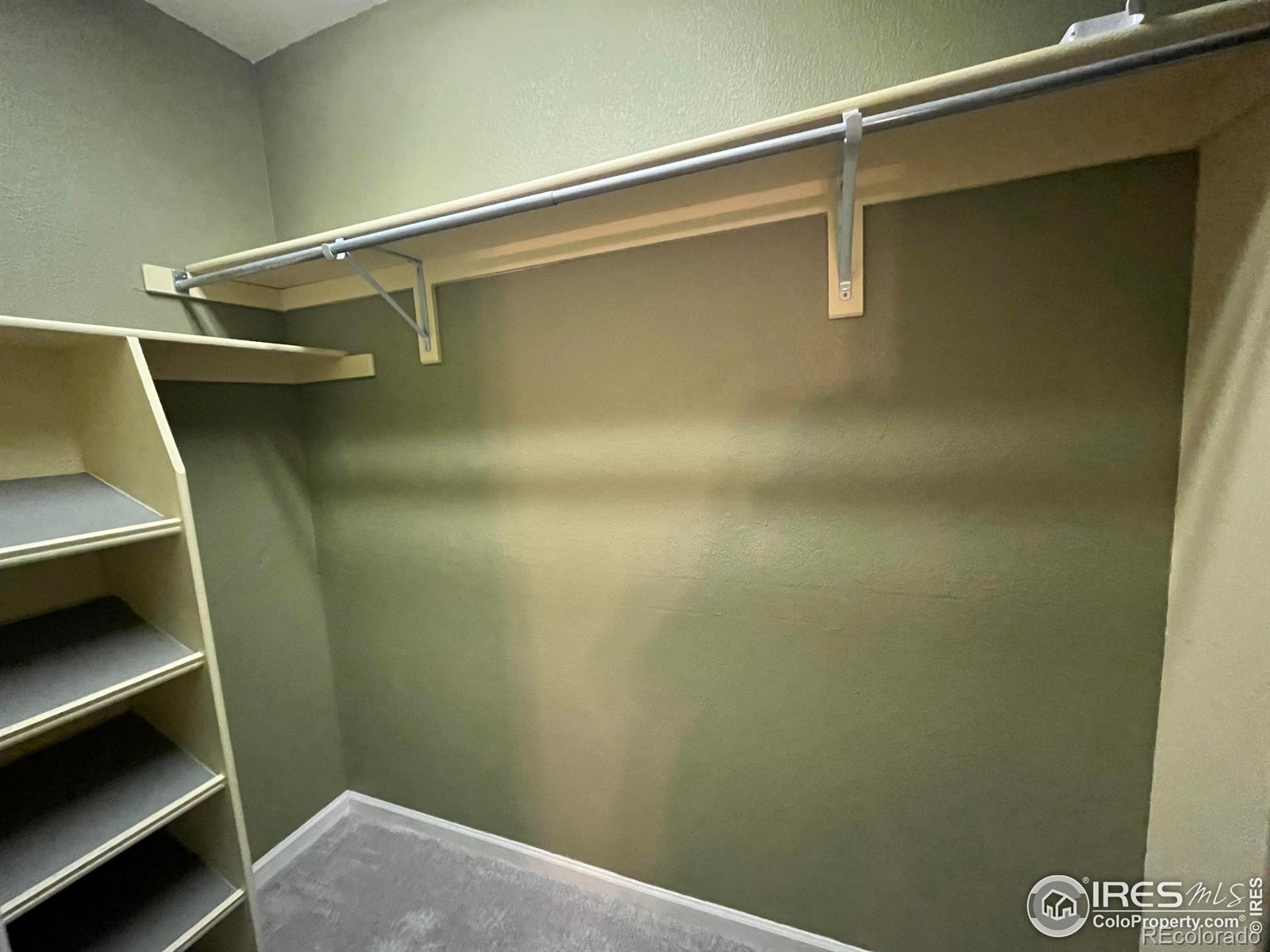 MLS Image #11 for 225  sugarbin court,longmont, Colorado