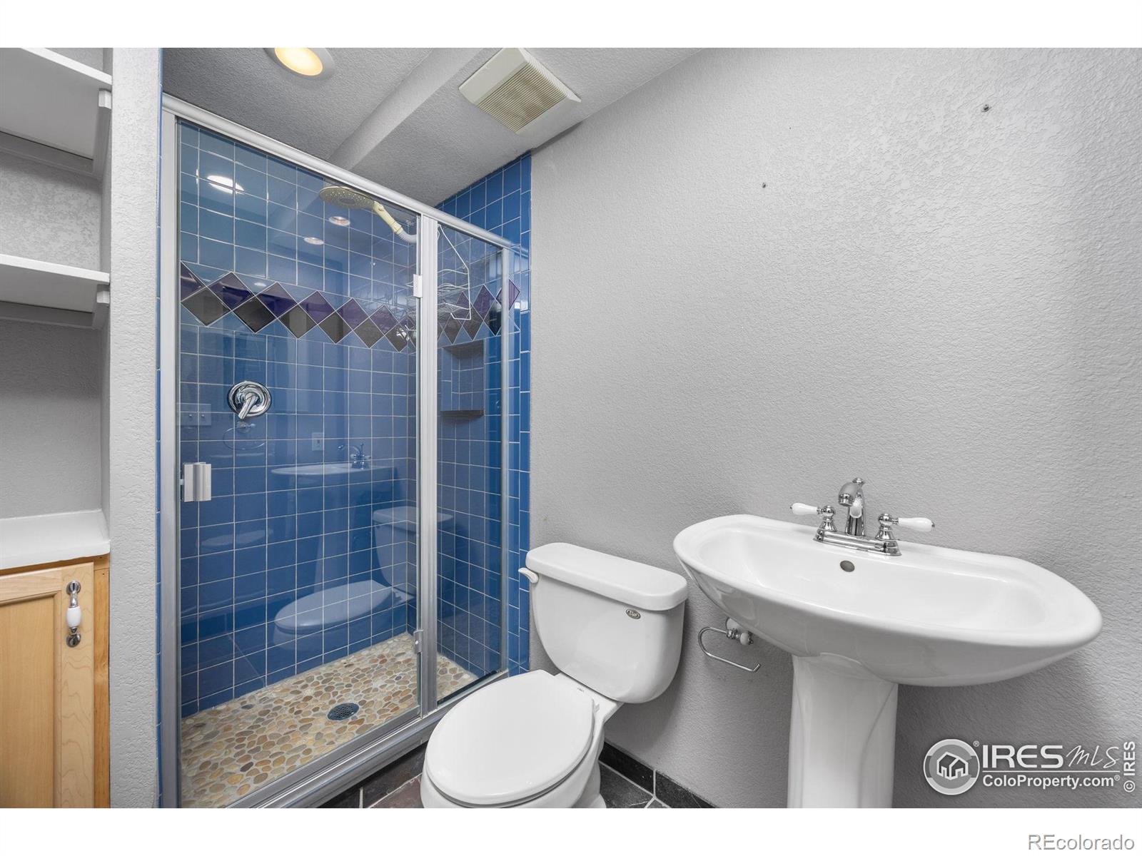 MLS Image #18 for 225  sugarbin court,longmont, Colorado