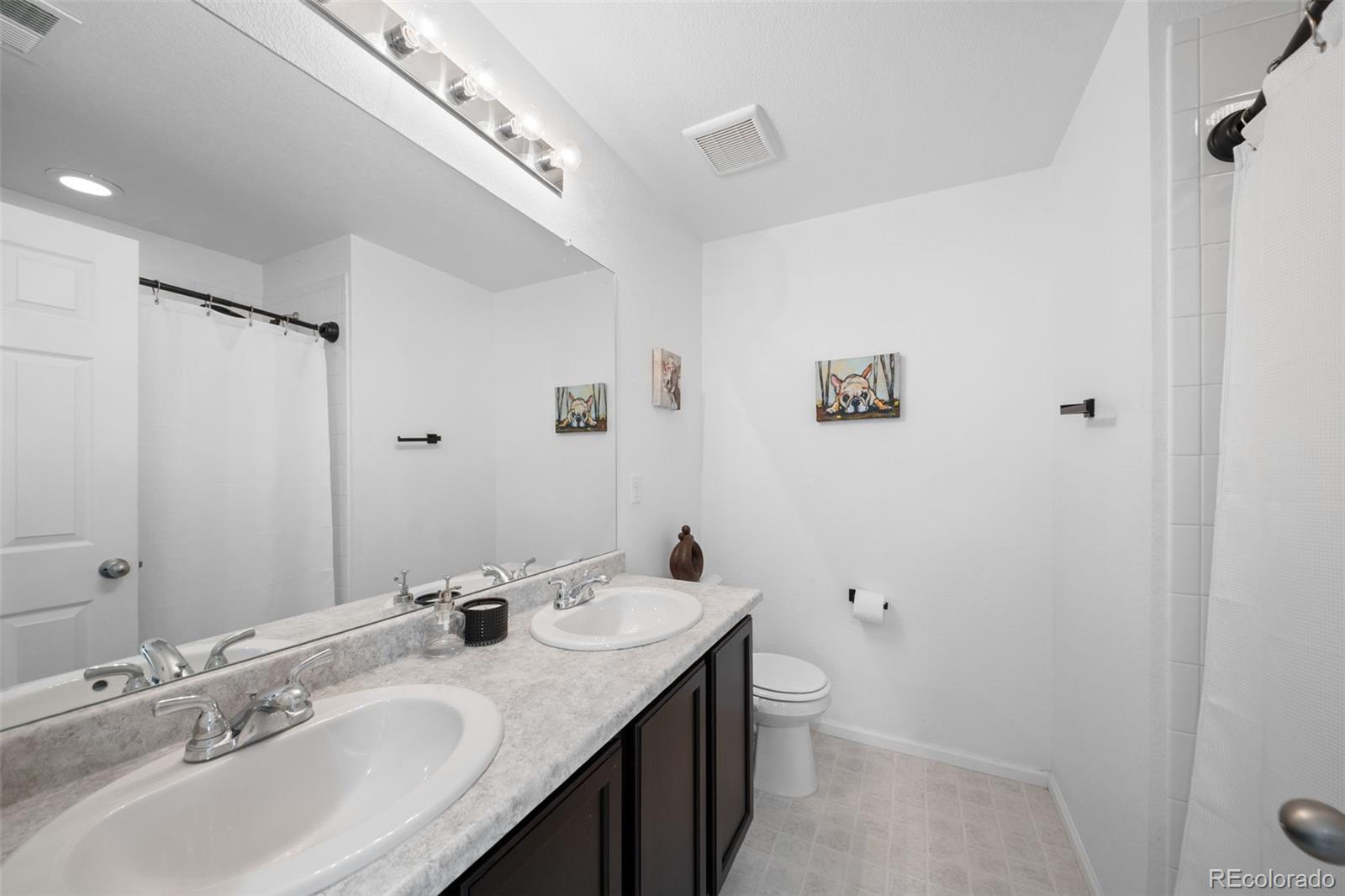 MLS Image #23 for 4779  gray wolf lane,castle rock, Colorado