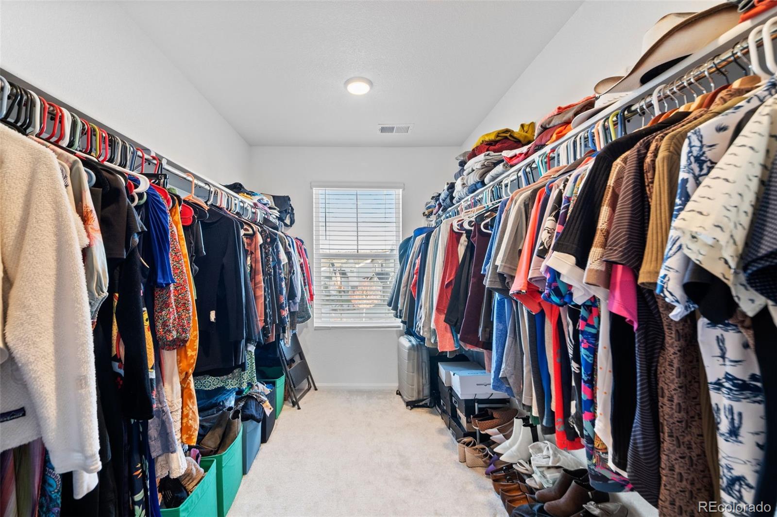 MLS Image #31 for 4779  gray wolf lane,castle rock, Colorado