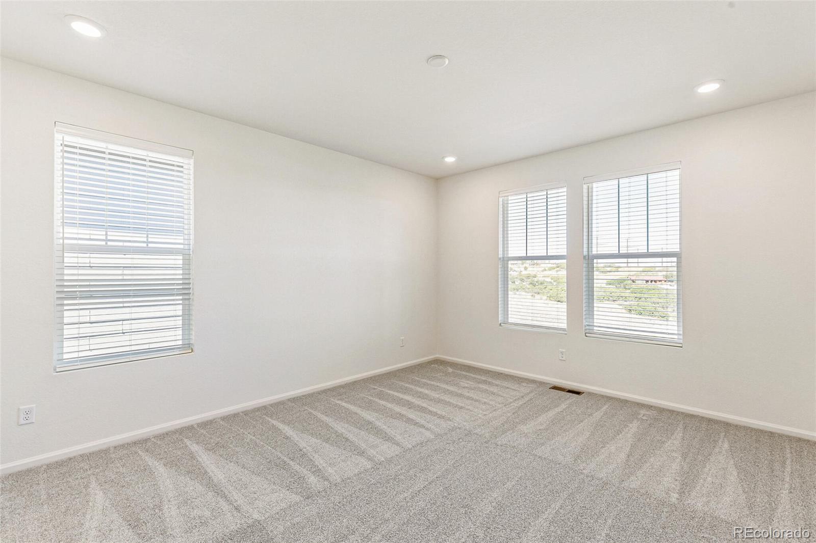 MLS Image #15 for 2098  peachleaf loop,castle rock, Colorado