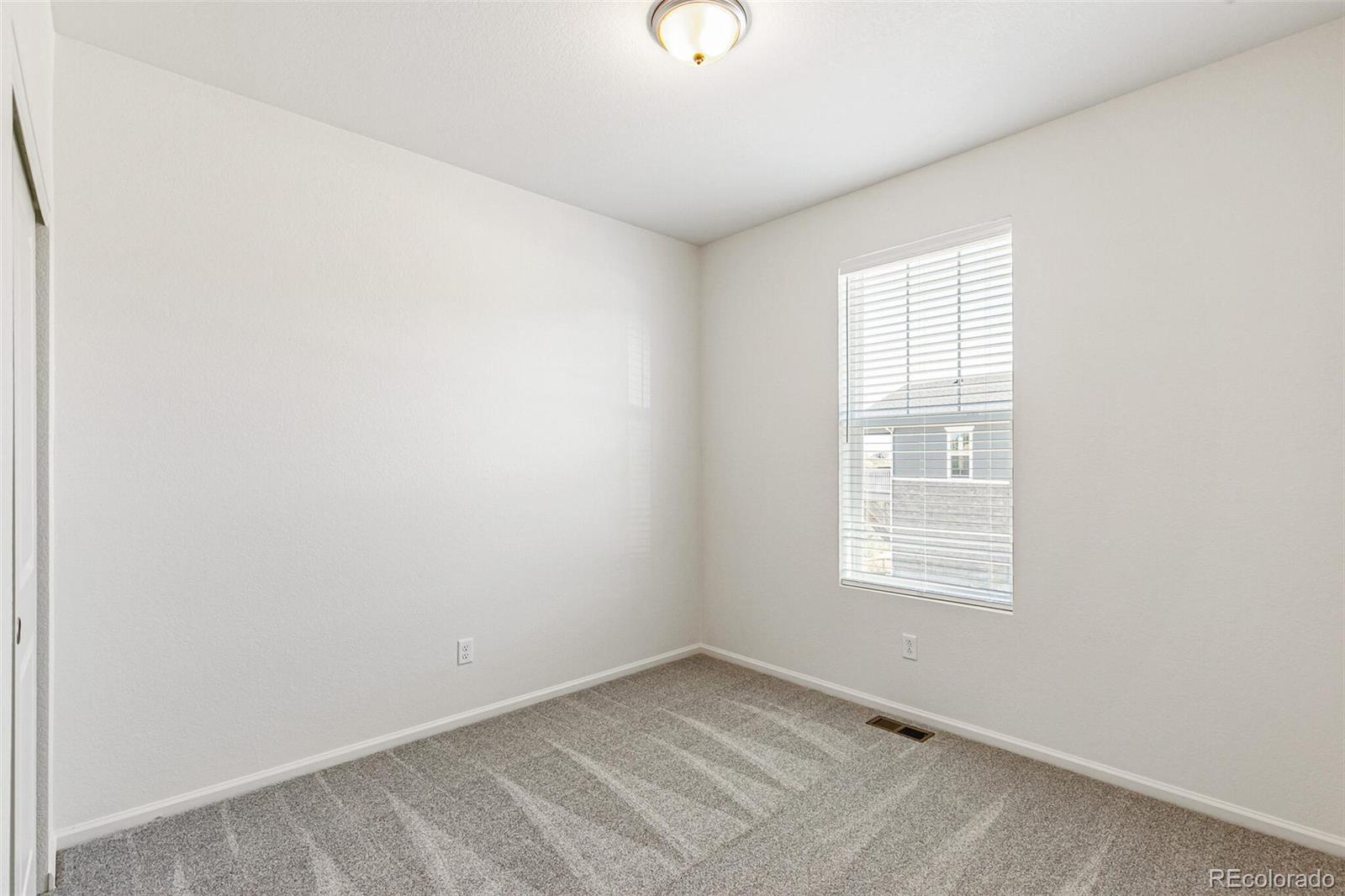 MLS Image #23 for 2098  peachleaf loop,castle rock, Colorado