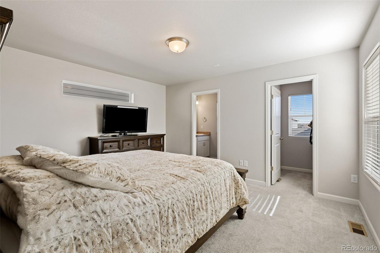 MLS Image #17 for 4134  jericho loop ,colorado springs, Colorado
