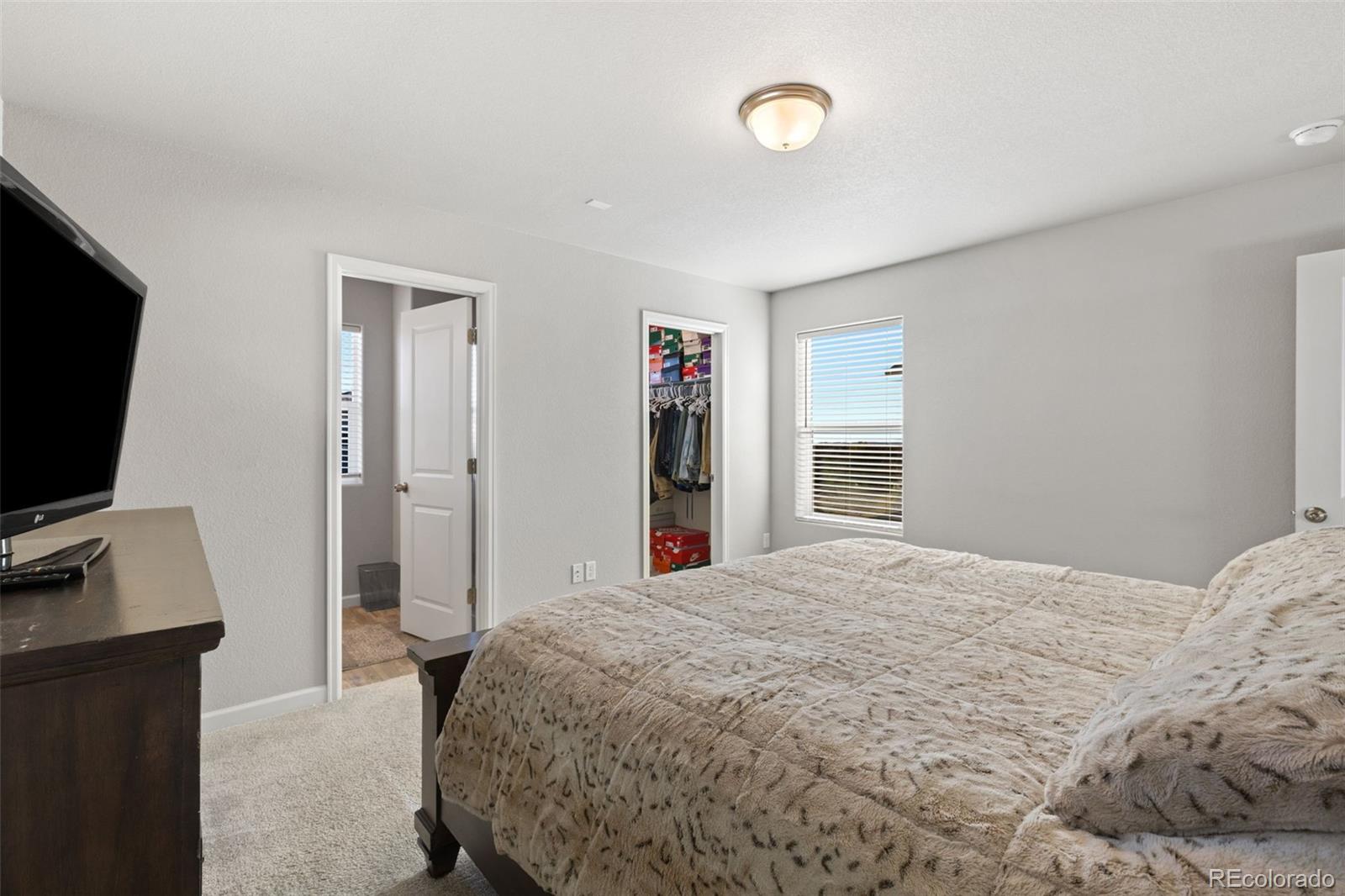MLS Image #19 for 4134  jericho loop ,colorado springs, Colorado